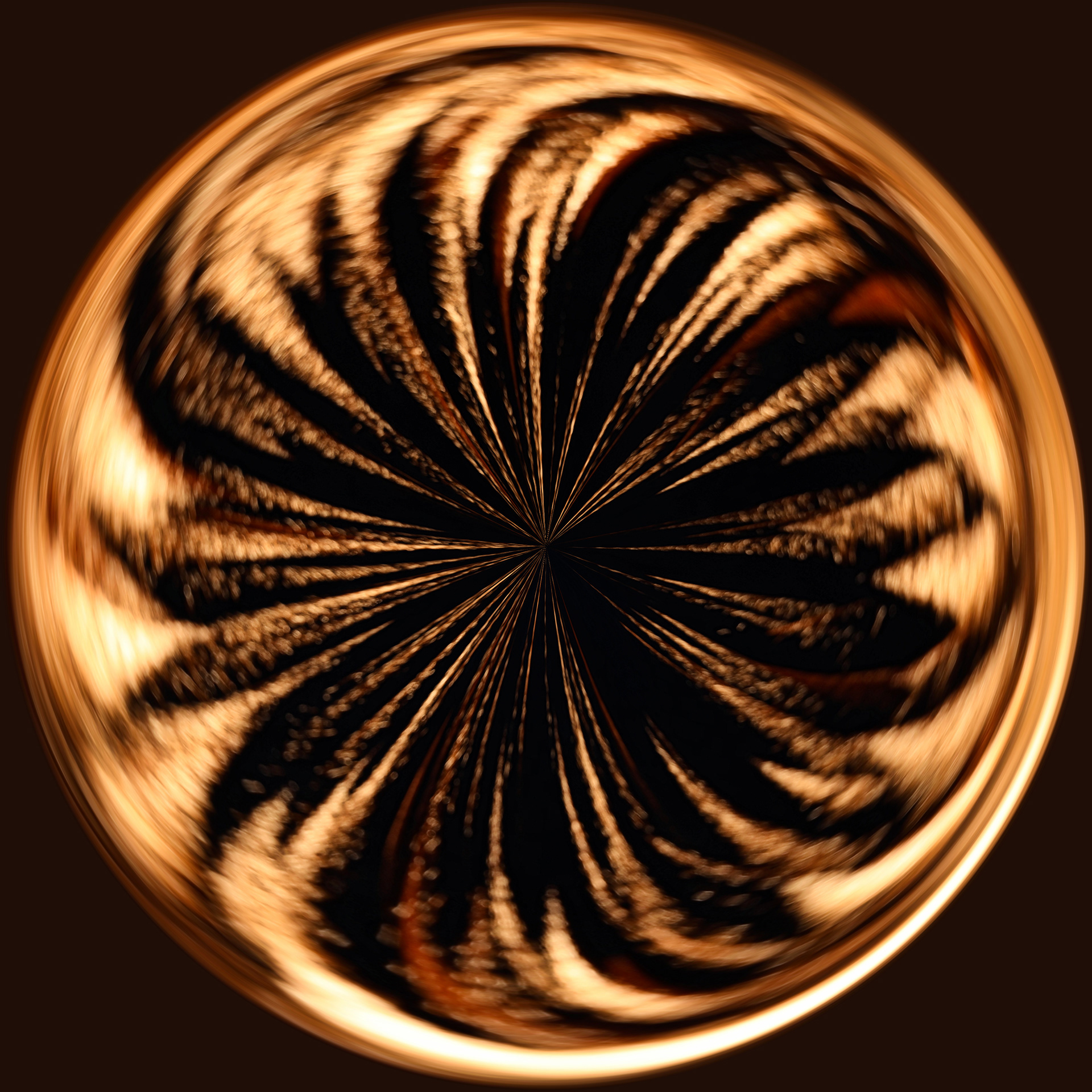 Fireworkd
