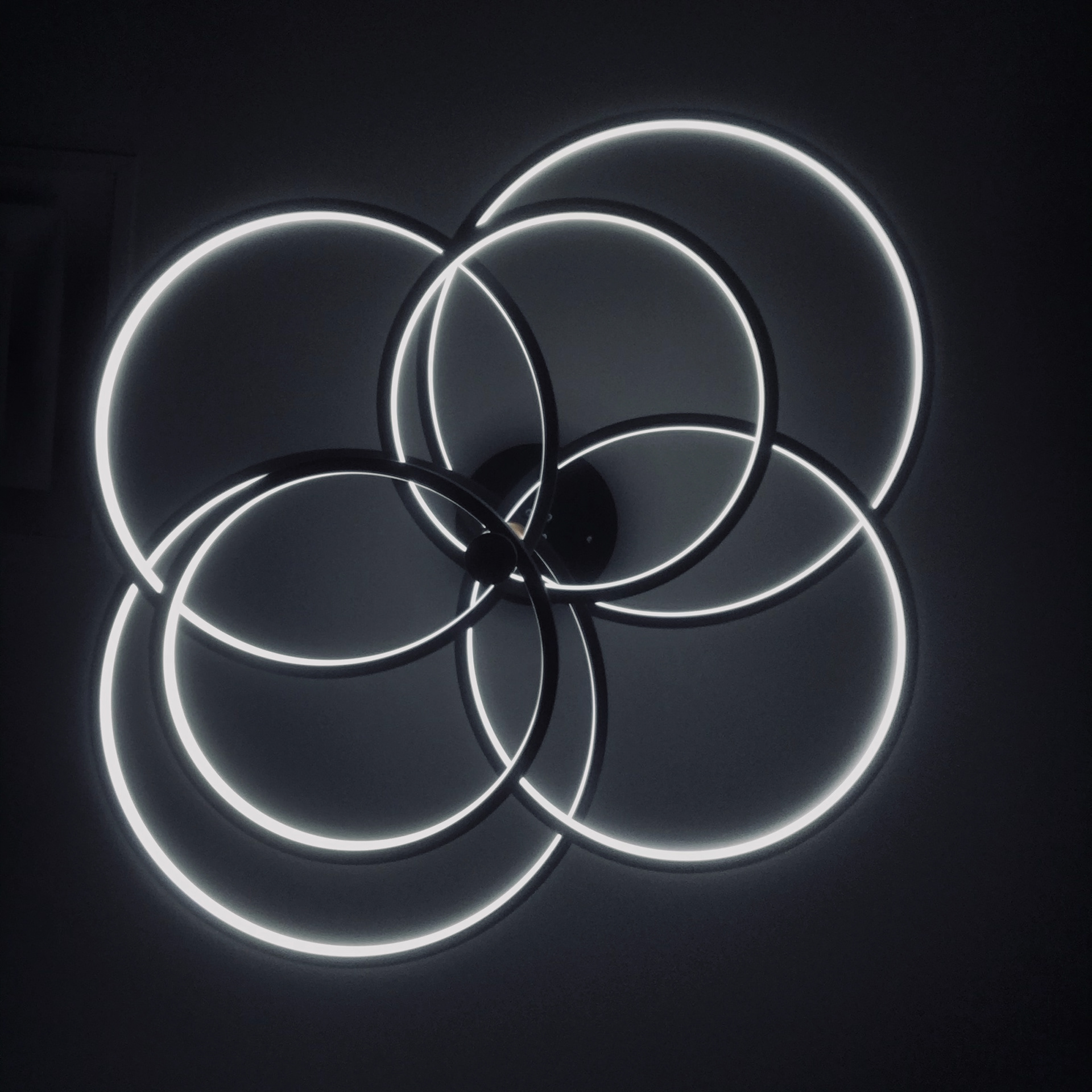 Circles of Light