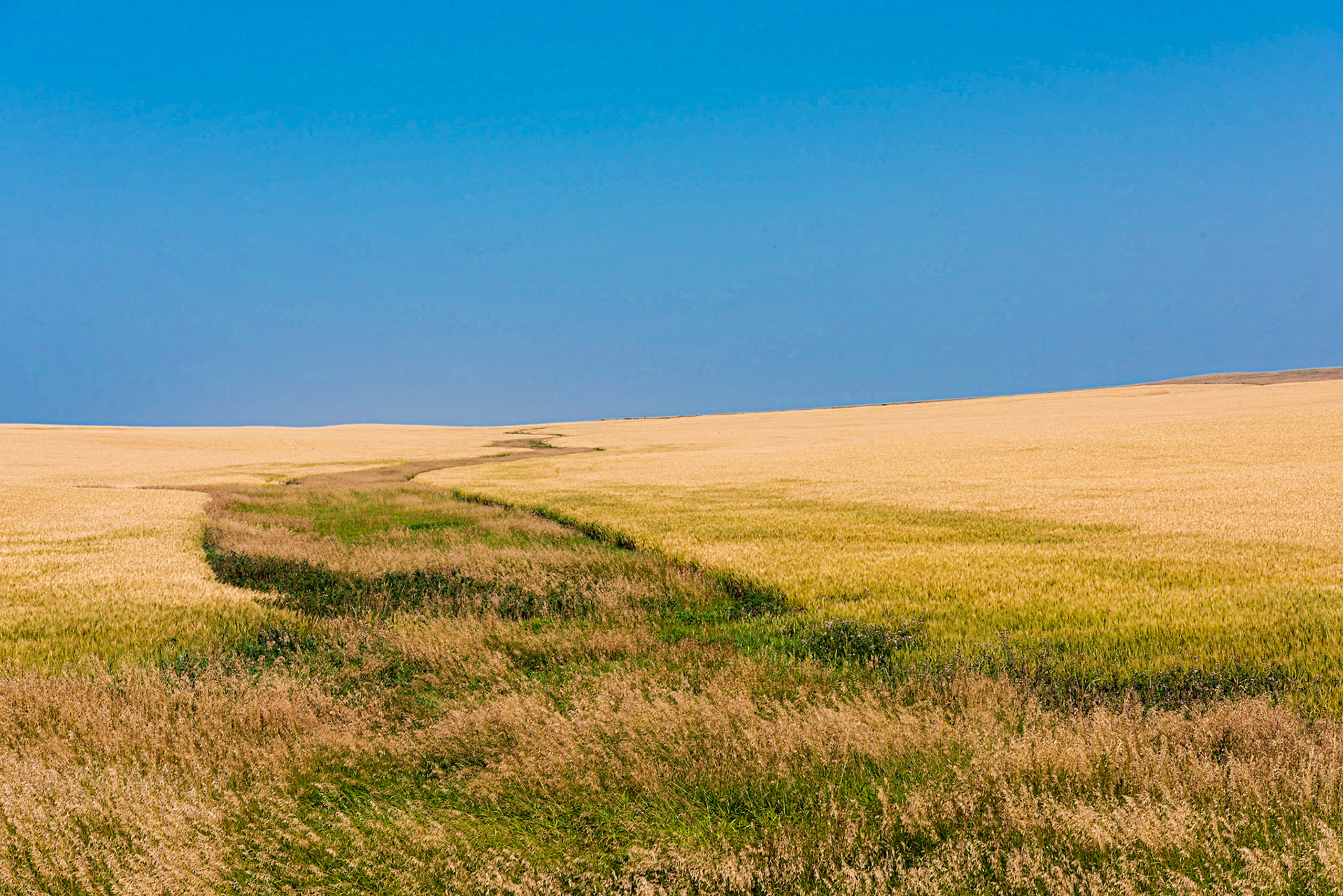Date: 11 August 2018Location: Slope County, North Dakota, United StatesOriginal resolution: 36 MPProcessing: Processed from RAW using Adobe Photoshop Lightroom 6