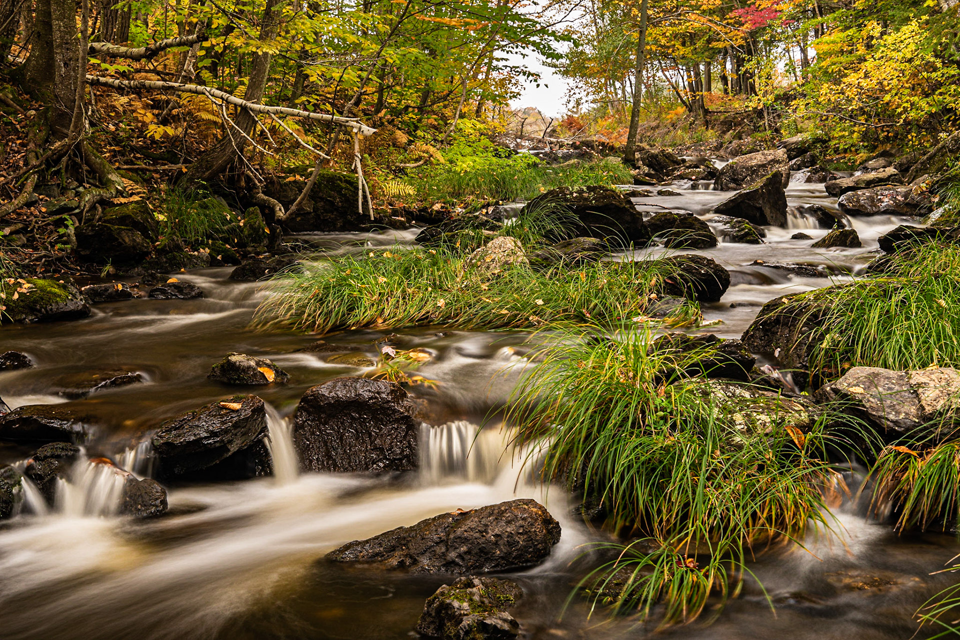 This rocky stream drains the dam that backs up Lake Stukely in Parc National du Mont-Orford. I was able to get down low with my tripod and bring out the texture in the rocks and grasses.Date: 8 October 2018Location: Orford, Québec, CanadaOriginal resolution: 36 MPProcessing: Processed from RAW using Adobe Photoshop Lightroom Classic CC 7