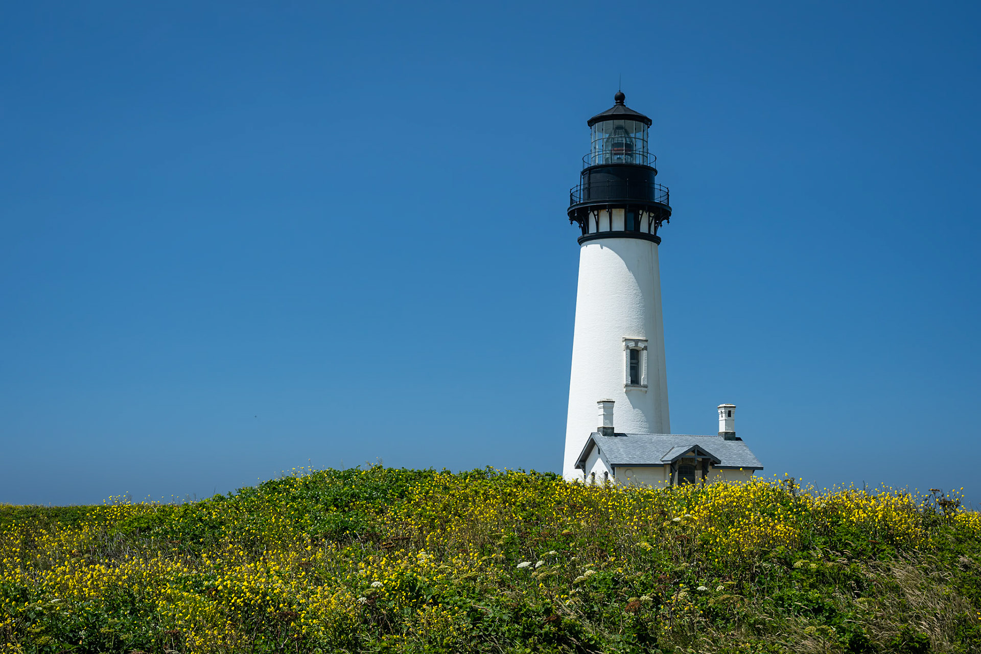 Yaquina Head Light | Date: 9 July 2024 | Location: Yaquina Head Outstanding Natural Area, Oregon, United States | Nikon Z8 | Original Resolution: 45 MP | Processed from RAW in Adobe Photoshop Lightroom Classic 13