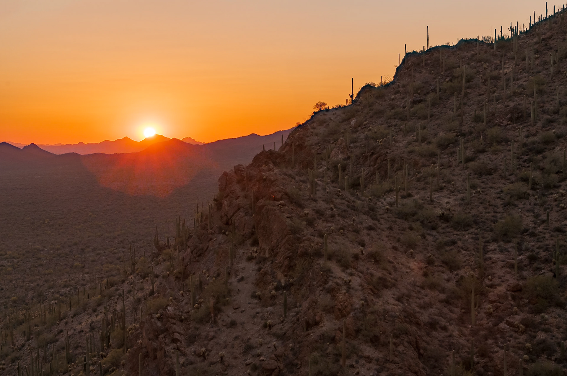 Date: 11 May 2013Location: Tucson Mountain Park, Arizona, United StatesOriginal resolution: 12 MPProcessing: Processed from RAW using Adobe Photoshop Lightroom 6