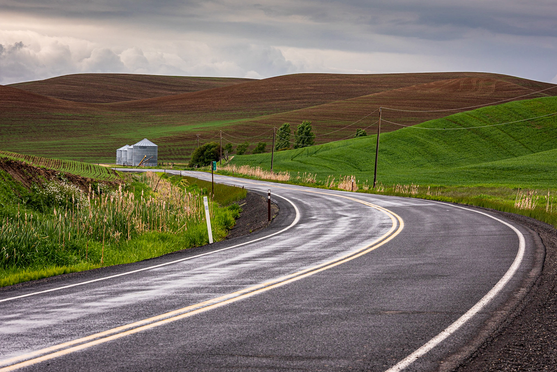 This particular day the weather had been rainy most of the day, which can be a challenge to photograph. I like how the curve of the road takes the eye to the silos.Date: 24 May 2019Location: Whitman County, Washington, United StatesOriginal resolution: 36 MPProcessing: Processed from RAW using Adobe Photoshop Lightroom Classic 8