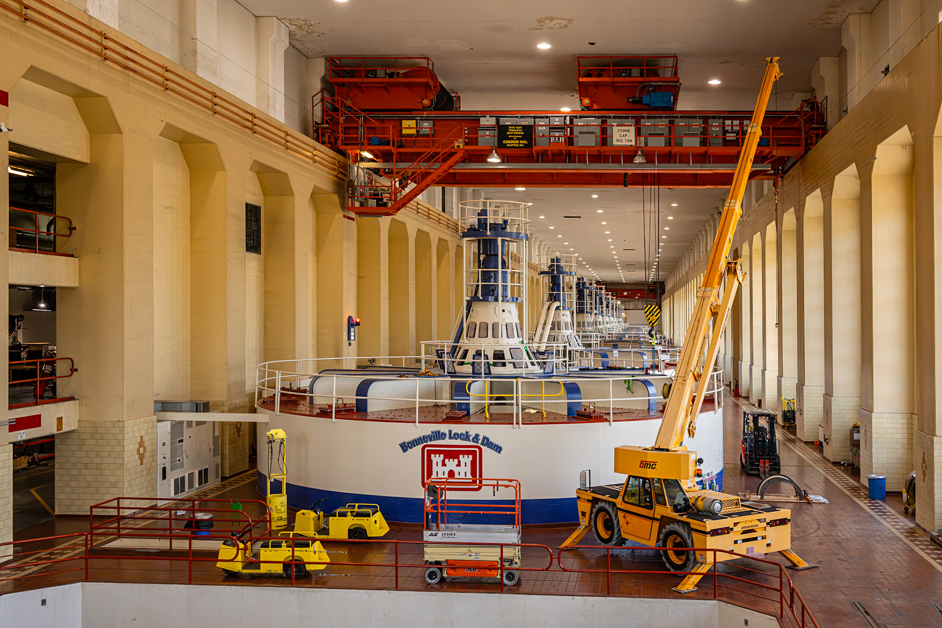 Date: 12 July 2024 | Location: | Nikon Z8 | Original Resolution: 45 MP | Processed from RAW in Adobe Photoshop Lightroom Classic 13