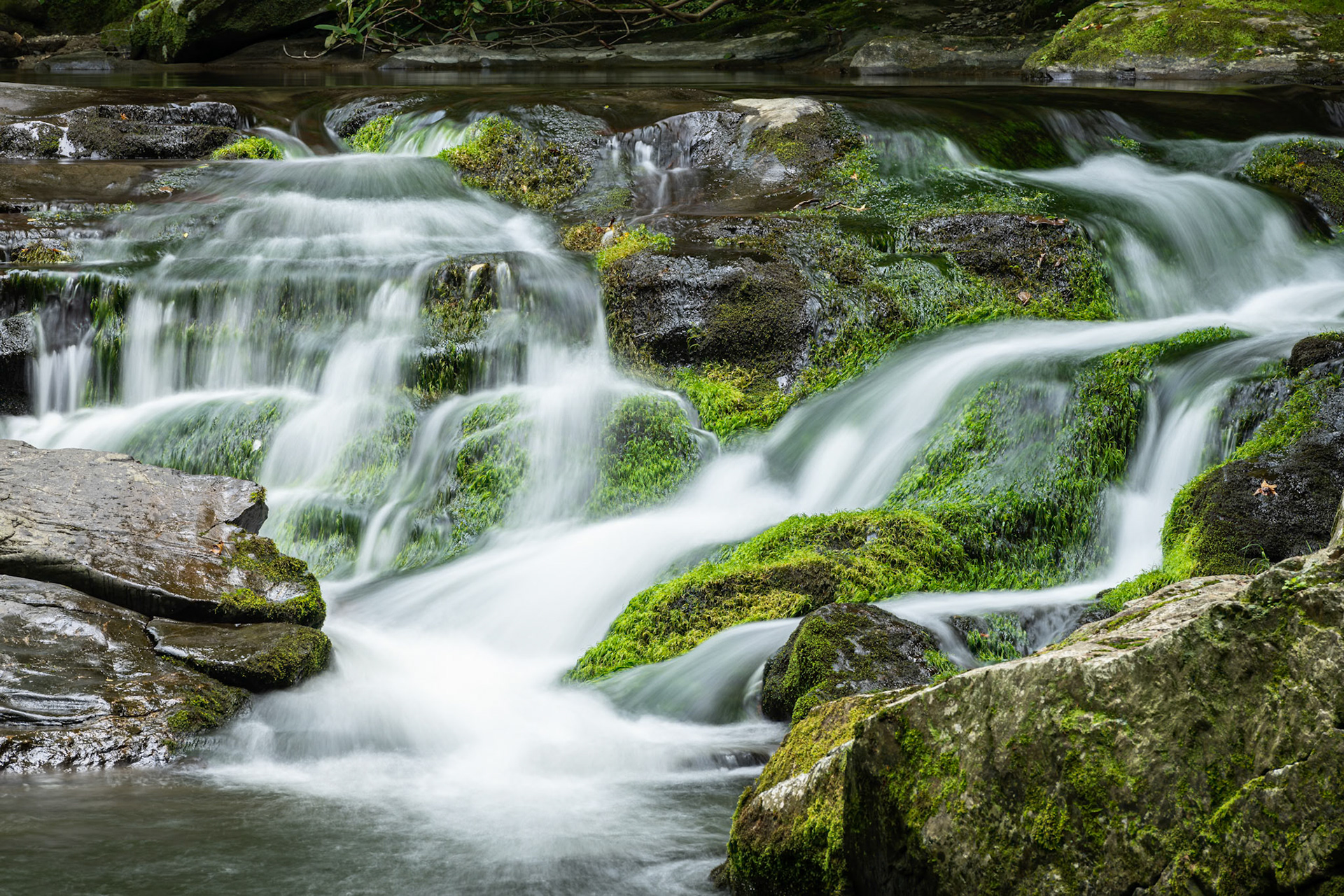 We had just turned onto Laurel Creek Road when I saw this small waterfall on Little River at Laurel Creek Parking Lot 1 on the Tennessee side of Great Smoky Mountains National Park. I love the lushness of the moss growing in the water flow.Date: 24 July 2021Location: Blount County, Tennessee, United StatesOriginal resolution: 45 MPProcessing: Processed from RAW using Adobe Photoshop Lightroom Classic 10