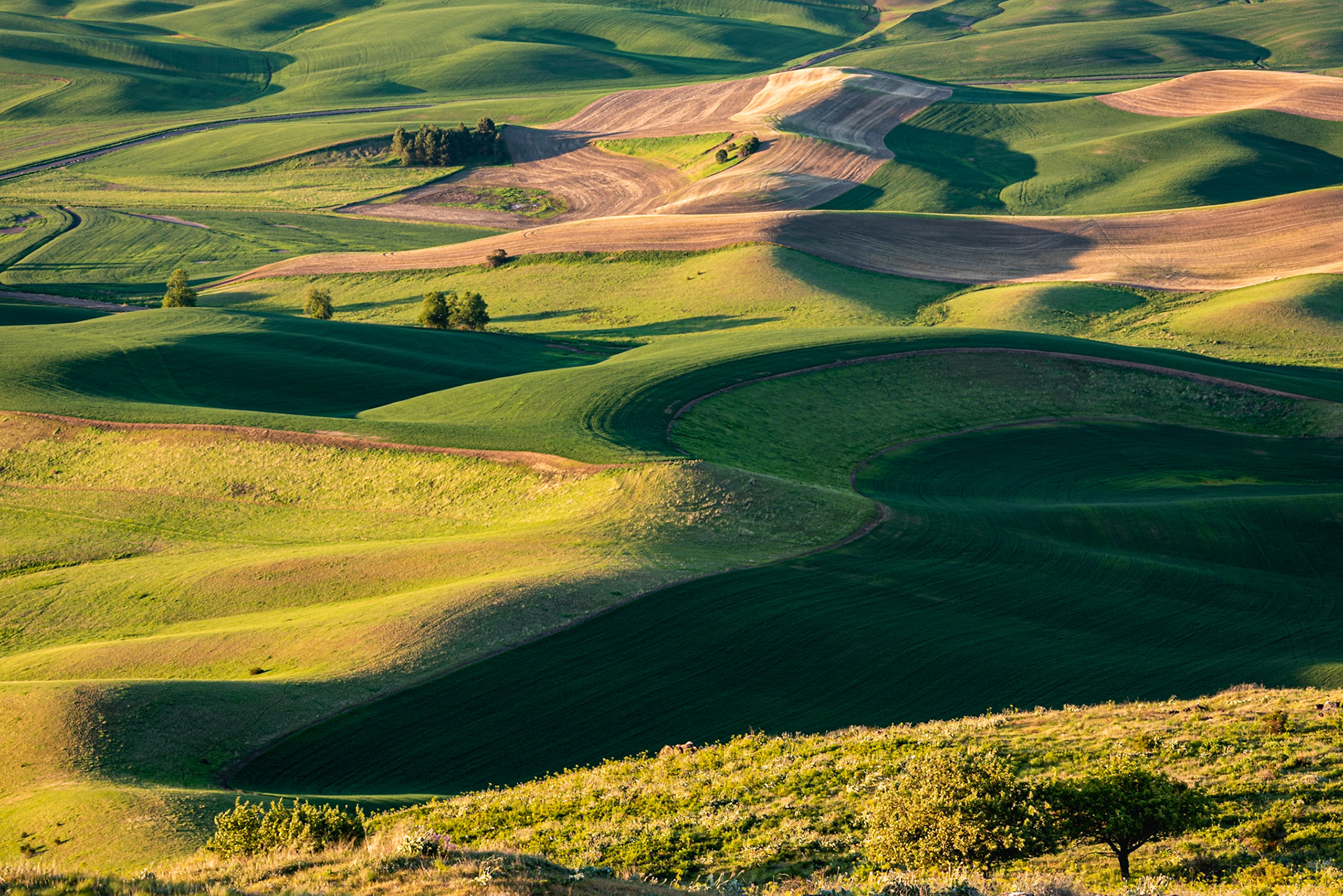 Date: 23 May 2019Location: Steptoe Butte State Park, Washington, United StatesOriginal resolution: 36 MPProcessing: Processed in HDR from RAW using Adobe Photoshop Lightroom Classic 8
