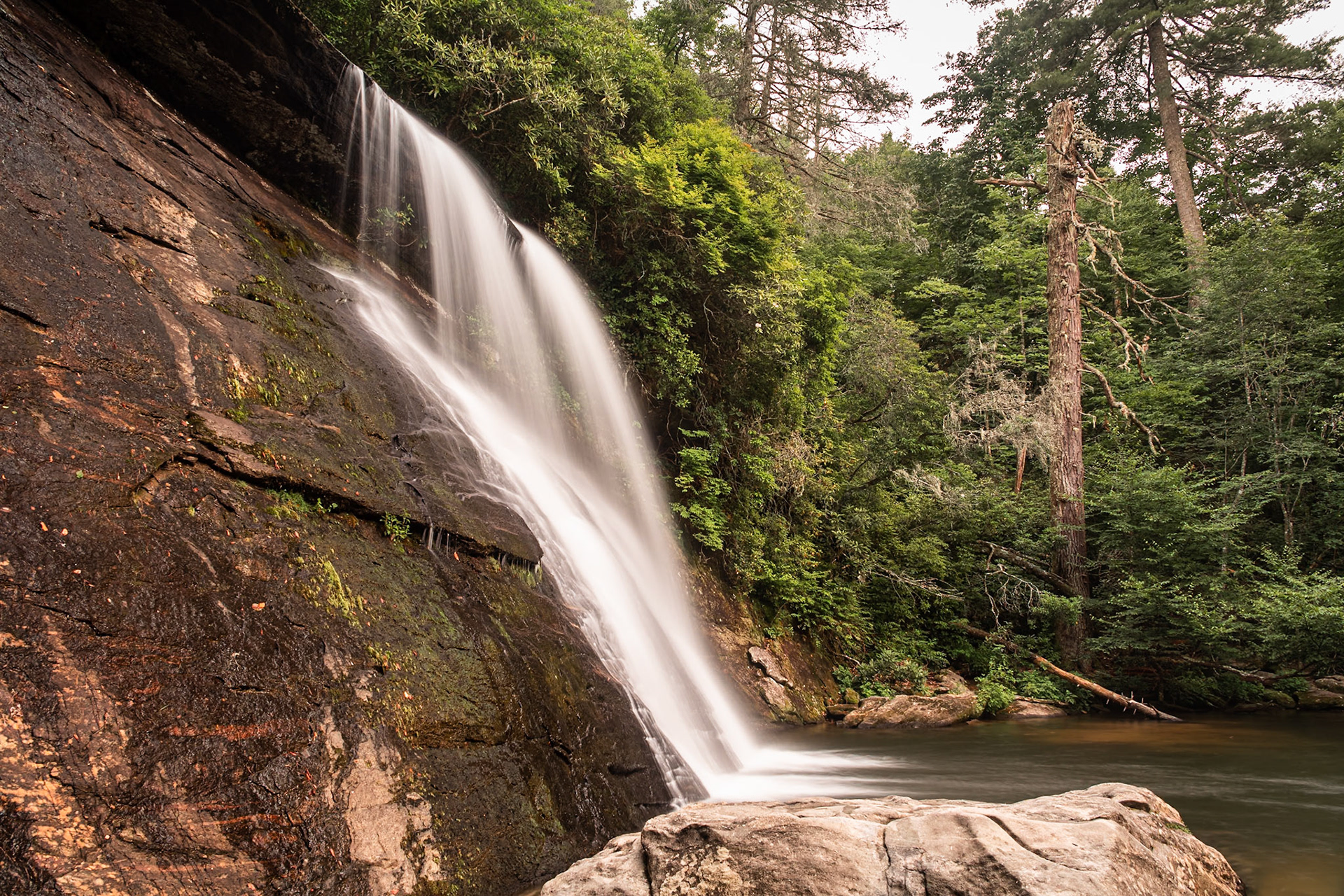 I first visited Silver Run Falls in 2002, when it was a somewhat unknown fall. It was peaceful to view, and I had the falls mostly to myself. That was back in the film days, of course. | Now, the falls are well known and a favorite of families because the plunge pool at the base makes a nice swimming hole and the falls themselves are gentle enough not to pose a hazard. Consequently, I needed a lot of patience to get this photo without swimmers in it. One family seemed to deliight in interntionally extending their visit to ensure that I couldn't take a photo without them in it. | 16 July 2021 | Jackson County, North Carolina, United States | Nikon D850 | 45 MP | Processed from RAW using Adobe Photoshop Lightroom Classic 10