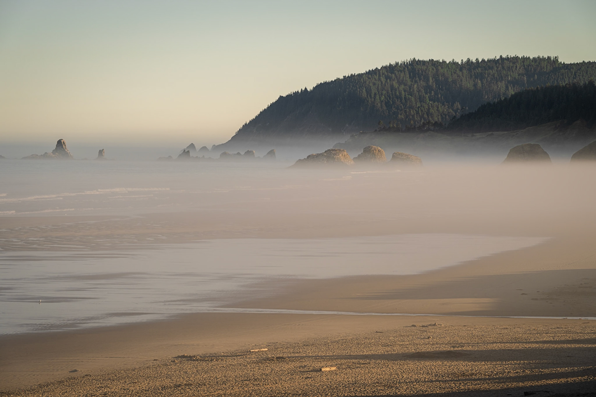 Morning on Cannon Beach | 7 July 2024 | Cannon Beach, Oregon, United States | Nikon Z8 | 45 MP | Processed from RAW in Adobe Photoshop Lightroom Classic 13