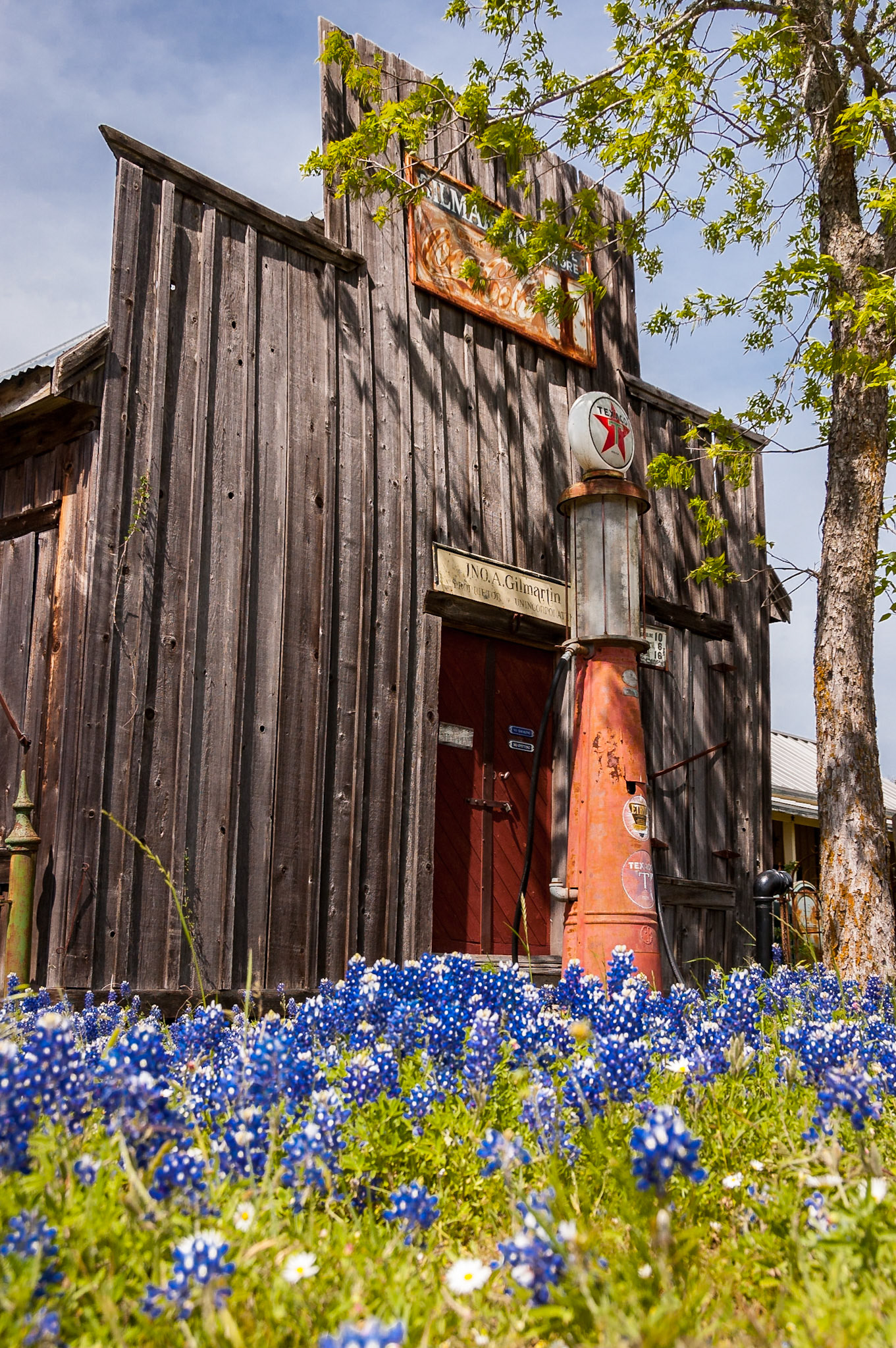 Texas bluebonnets (Lupinus texensis) bloom in front of the long-shuttered Gilmartin Store. The store sits just north of Old Baylor Park in IndependenceDate: 9 April 2010Location: Independence, Texas, United StatesOriginal resolution: 6 MPProcessing: Processed from RAW using Adobe Photoshop Lightroom 6