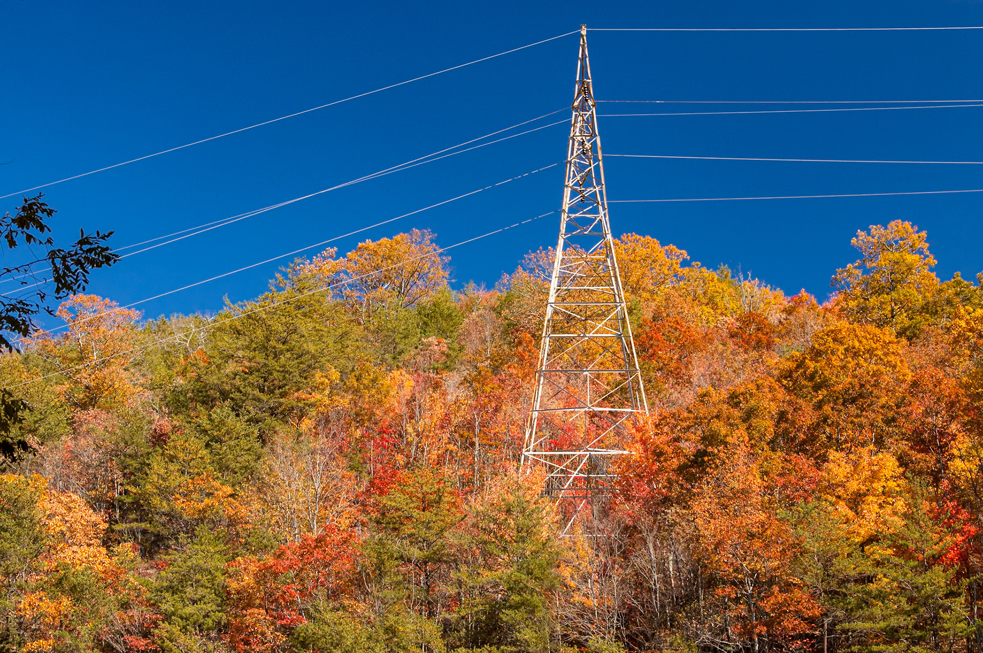 While at the Boyd Gap overlook, just south of U.S. Highway 64, I noticed this U.S. TVA high-voltage transmission tower standing amid a number of beautiful trees. The tower and power lines stand out clearly against the brilliant blue sky.Date: 4 November 2008Location: Polk County, Tennessee, United StatesOriginal resolution: 6 MPProcessing: Processed from RAW using Adobe Photoshop Lightroom Classic 10