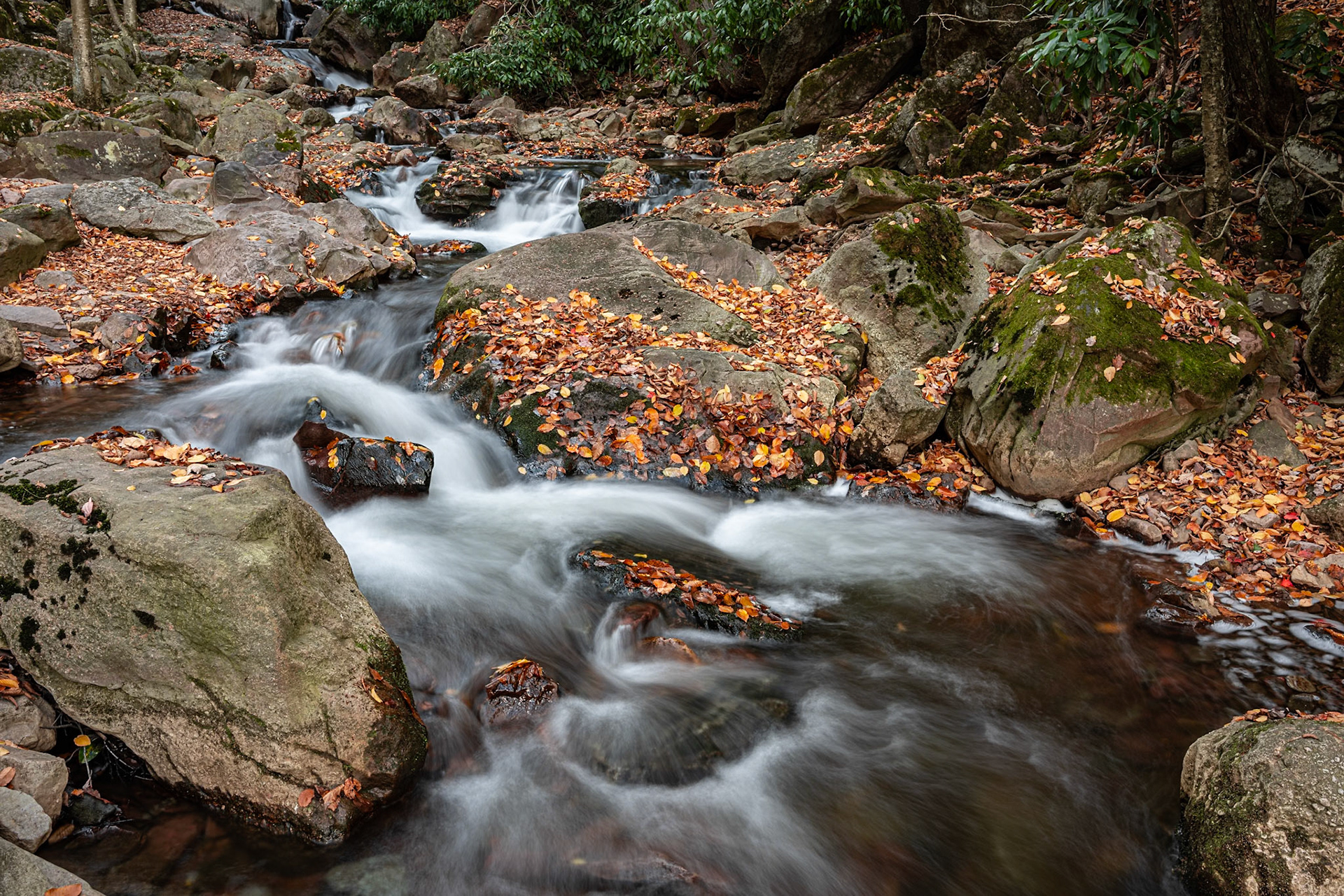 Buck Mountain Creek | 14 October 2024 | Lehigh Gorge State Park, Carbon County, Pennsylvania, United States | NIKON Z8 | 32mm f/14 1.3s ISO64 | 45.5 MP | Processed from RAW in Adobe Photoshop Lightroom 13