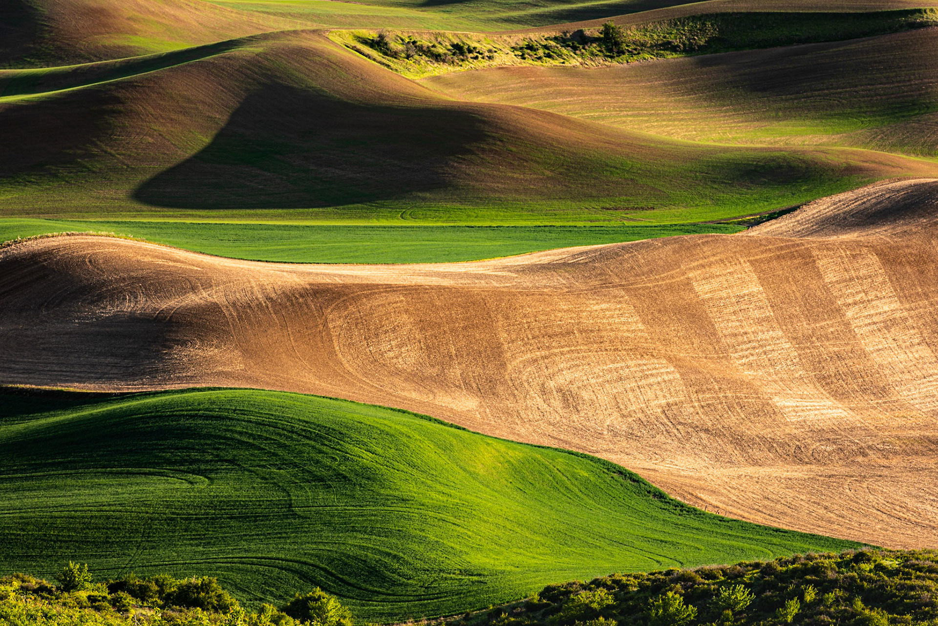I think the undulating land of the Palouse, when the wheat is green, looks a giant's golf course. I liked this image, in particular, because the lat afternoon light brings out the cultivation patterns.Date: 22 May 2019Location: Steptoe Butte State Park, Washington, United StatesOriginal resolution: 36 MPProcessing: Processed from RAW using Adobe Photoshop Lightroom Classic 8