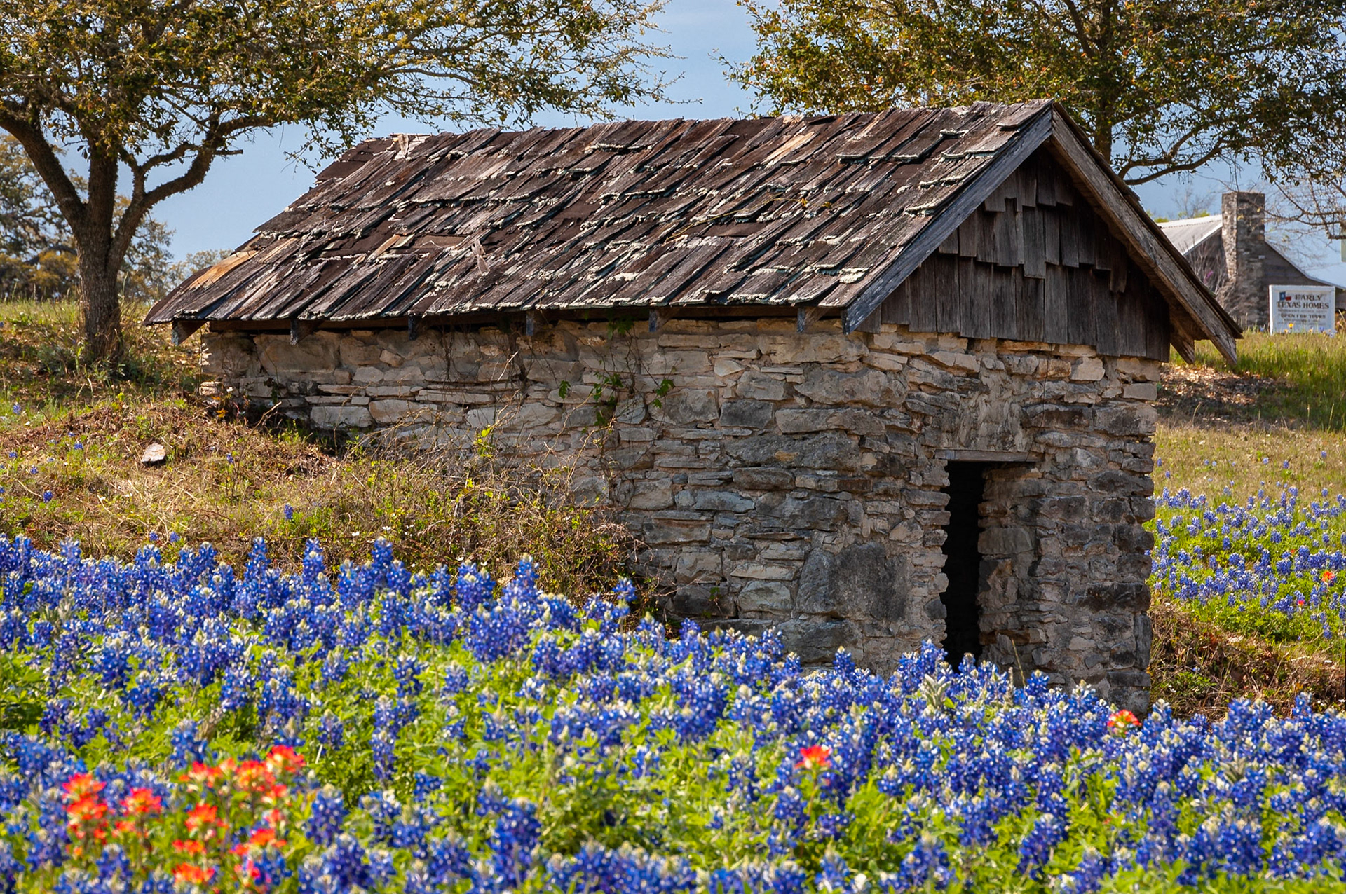 Only a springhouse remains of Sam Houston's home in Independence. Here, the springhouse is surrounded by Texas bluebonnets (Lupinus texensis).Date: 20 March 2009Location: Independence, Texas, United StatesOriginal resolution: 6 MPProcessing: Processed from RAW using Adobe Photoshop Lightroom Classic 9