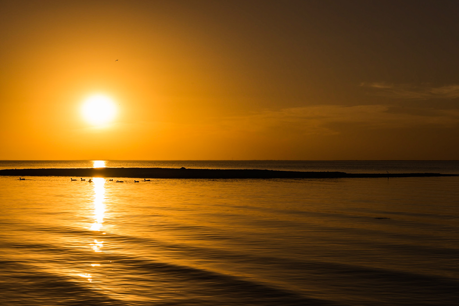 I was looking for a place to photograph sunset in Rockport and spotted Howard Murph Memorial Park near the airport on the map. When I arrived, I looked around for something to provide context to the photo. I decided the little gravel bar would do the trick. The ducks cooperated by swimming across the reflection of the sun. The cirrus clouds diffused the sunlight nicely to eliminate lens flare. | 19 March 2018 | Rockport, Texas, United States | 36 MP | Processed from RAW using Adobe Photoshop Lightroom 6