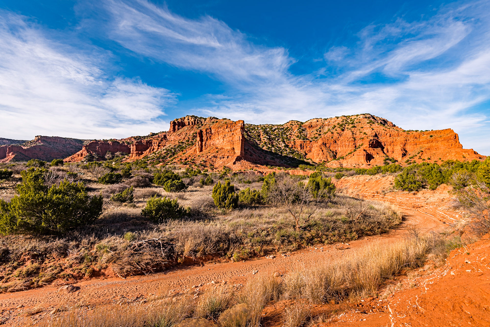 Date: 16 March 2017Location: Caprock Canyons State Park, Texas, United StatesOriginal resolution: 36 MPProcessing: Processed from RAW using Adobe Photoshop Lightroom 6