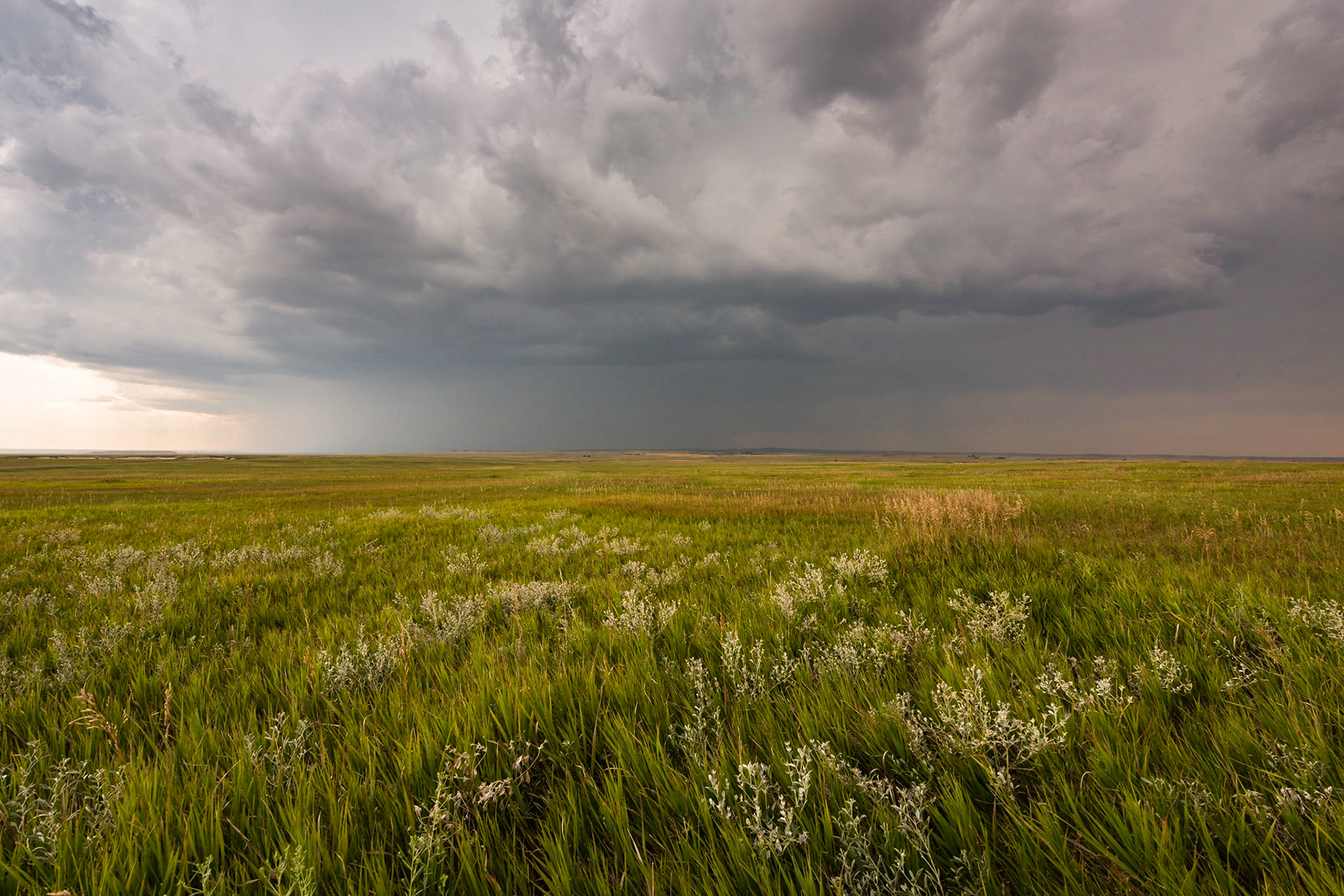 We were driving through Badlands National Park when this afternoon thundershower crossed the prairie north of us. In spite of some thunder, we saw no cloud-to-ground lightning.Date: 6 August 2018Location: Badlands National Park, South Dakota, United StatesOriginal resolution: 36 MPProcessing: Processed from RAW using Adobe Photoshop Lightroom 6