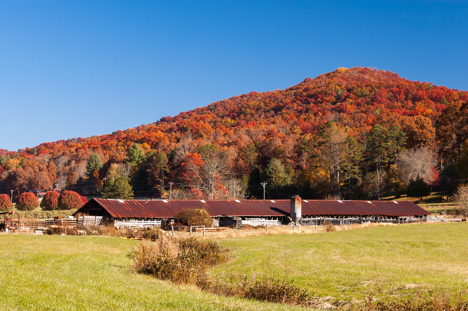 Pigeon Creek Valley in the Chattahoochee National Forest. Dunagan Mountain sits in the background. Photo taken from the bend of Dial Road, just before Georgia State Highway 60.