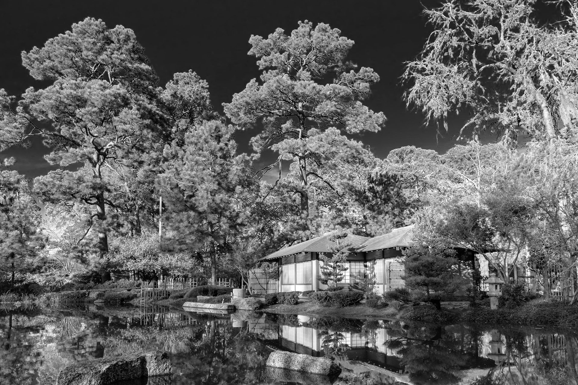 The Japanese Garden in Hermann Park was designed by landscape architect Ken Nakajima. Among other points of interest, it has a teahouse, shown in the photo. I decided the photo worked better in black-and-white because of all the texture.Date: 23 December 2019Location: Houston, Texas, United StatesOriginal resolution: 45 MPProcessing: Processed from RAW using Adobe Photoshop Lightroom Classic 9