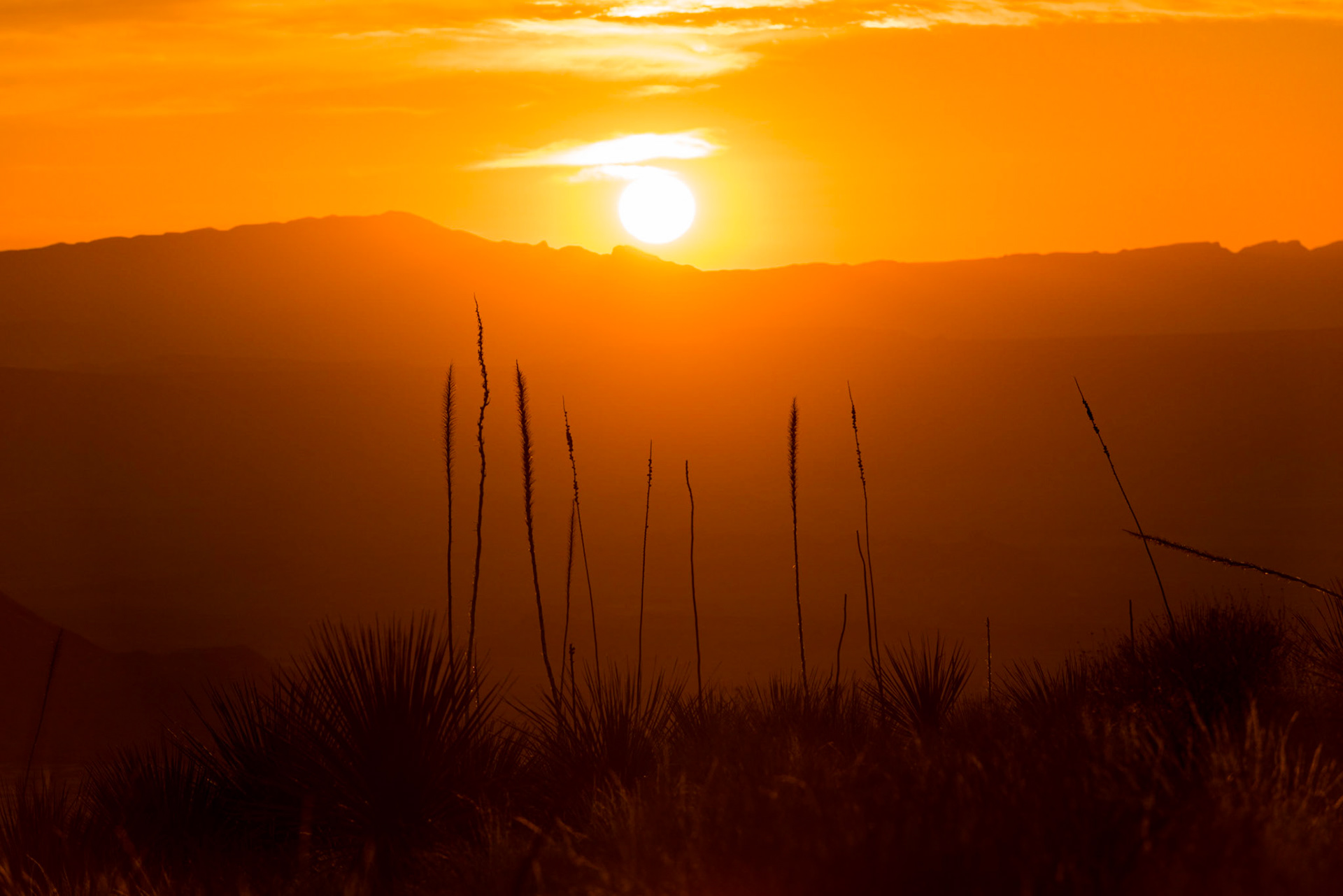 Sunset in Big Bend | 15 March 2016 | Big Bend National Park, Texas, United States | Nikon D810 | 36 MP | Processed from RAW using Adobe Lightroom 13