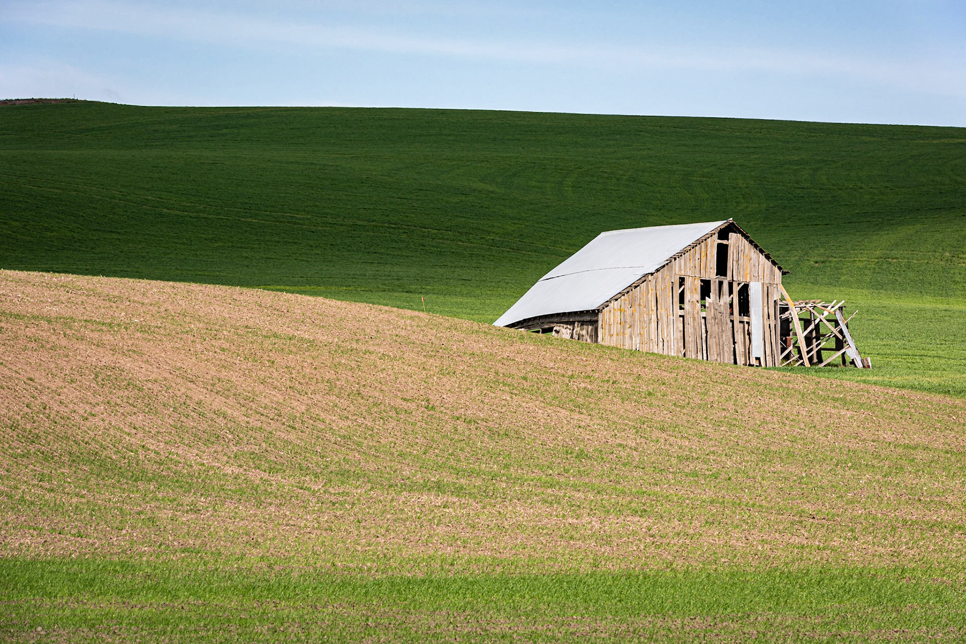 I spotted this derelict barn off U.S. Highway 195 between Pullman and Colfax.  I liked the contrast of the afternoon light on the barn and foreground and the shadows on the wheat behind the barn.Date: 22 May 2019Location: Whitman County, Washington, United StatesOriginal resolution: 36 MPProcessing: Processed from RAW using Adobe Photoshop Lightroom Classic 8