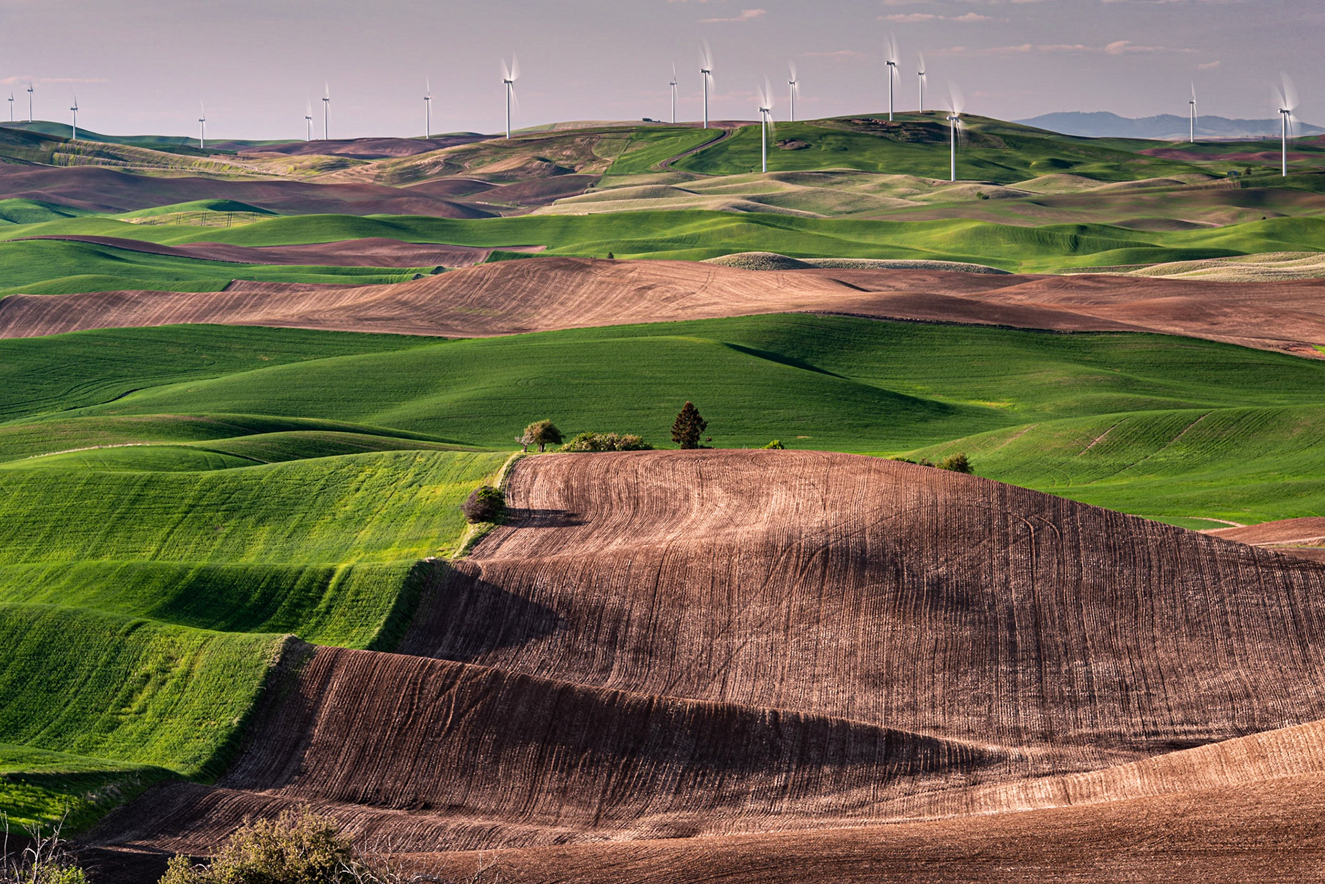 The Palouse wind farm covers a range of hills north of Steptoe Butte. I used a 3-stop neutral density filter to increase the exposure time and blur the turbine blades. The well-defined edge of the planted area versus the unplanted area provides a leading line to the wind farm.The Palouse wind farm contains 58 Vestas V-100 1.8-MW wind turbines, providing a total of 104.4 MW of electric power capacity.Date: 22 Nay 2019Location: Steptoe Butte State Park, Washington, United StatesOriginal resolution: 36 MPProcessing: Processed from RAW using Adobe Photoshop Lightroom Classic 8