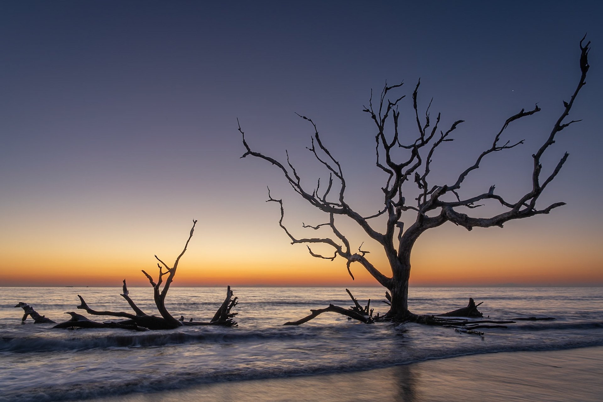 Driftwood Beach on Jekyll Island is a gold mine for photographers. I drove out to the beach for sunrise and found a rising tide. At dawn, Venus was still visible in the southeastern sky and can be seen in the upper right of the photo. | 18 March 2022 | Jekyll Island, Georgia, United States | 45 MP | Processed from RAW using Adobe Photoshop Lightroom Classic 9