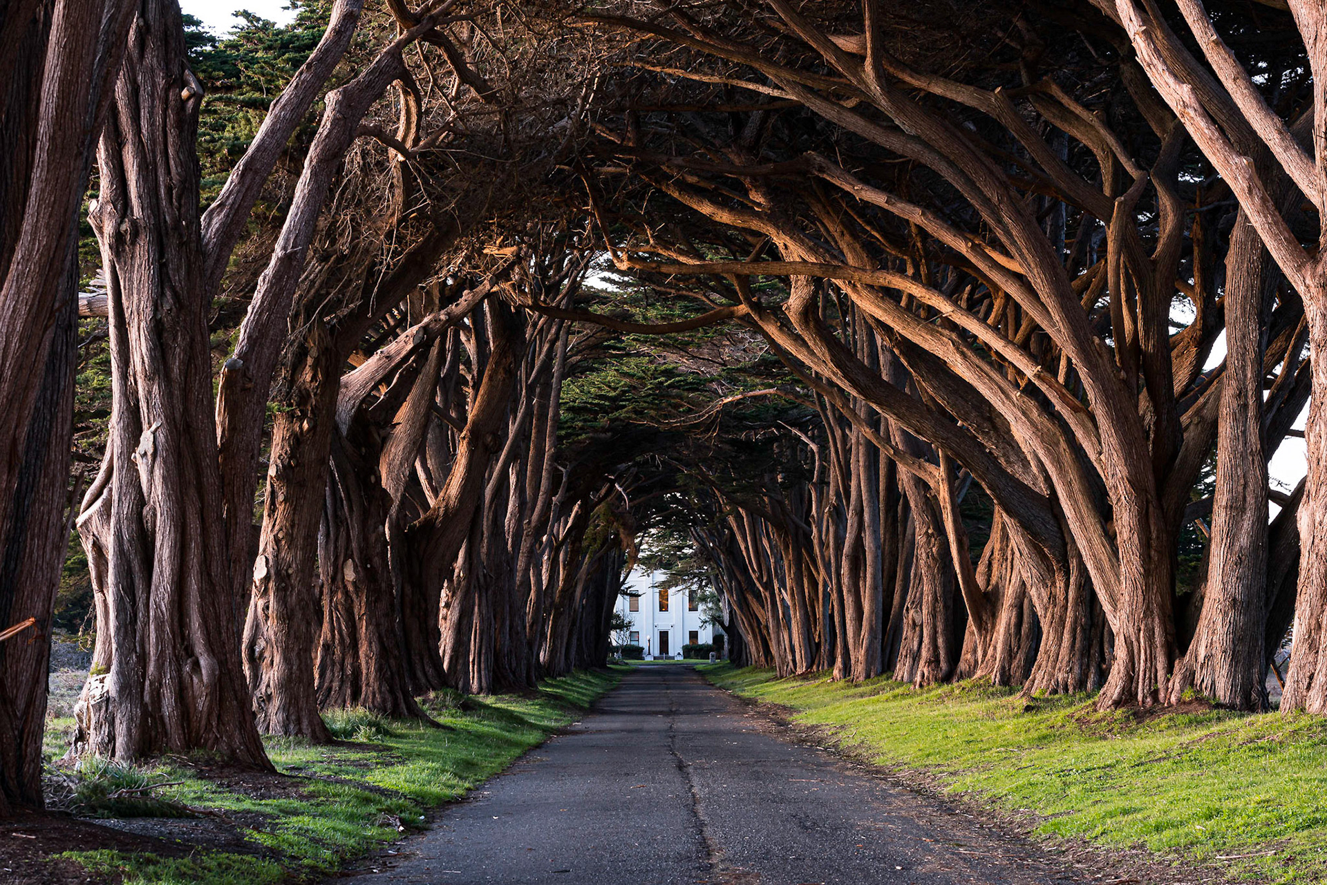 The old wireless receiving station of RCA Marconi station KPH sits on the G Ranch property of Point Reyes National Seashore. The station is famous for both its art deco building and its driveway, lined in Monterey cypress. We had stopped by earlier in the day for a tour and then came back, hoping for good light in the trees. We were a bit late for golden hour but still had decent lighting for a long exposure at dusk.Date: 28 J anuary 2017Location: Point Reyes National Seashore, California, United StatesOriginal resolution: 36 MPProcessing: Processed from RAW using Adobe Photoshop Lightroom Classic CC and Adobe Photoshop
