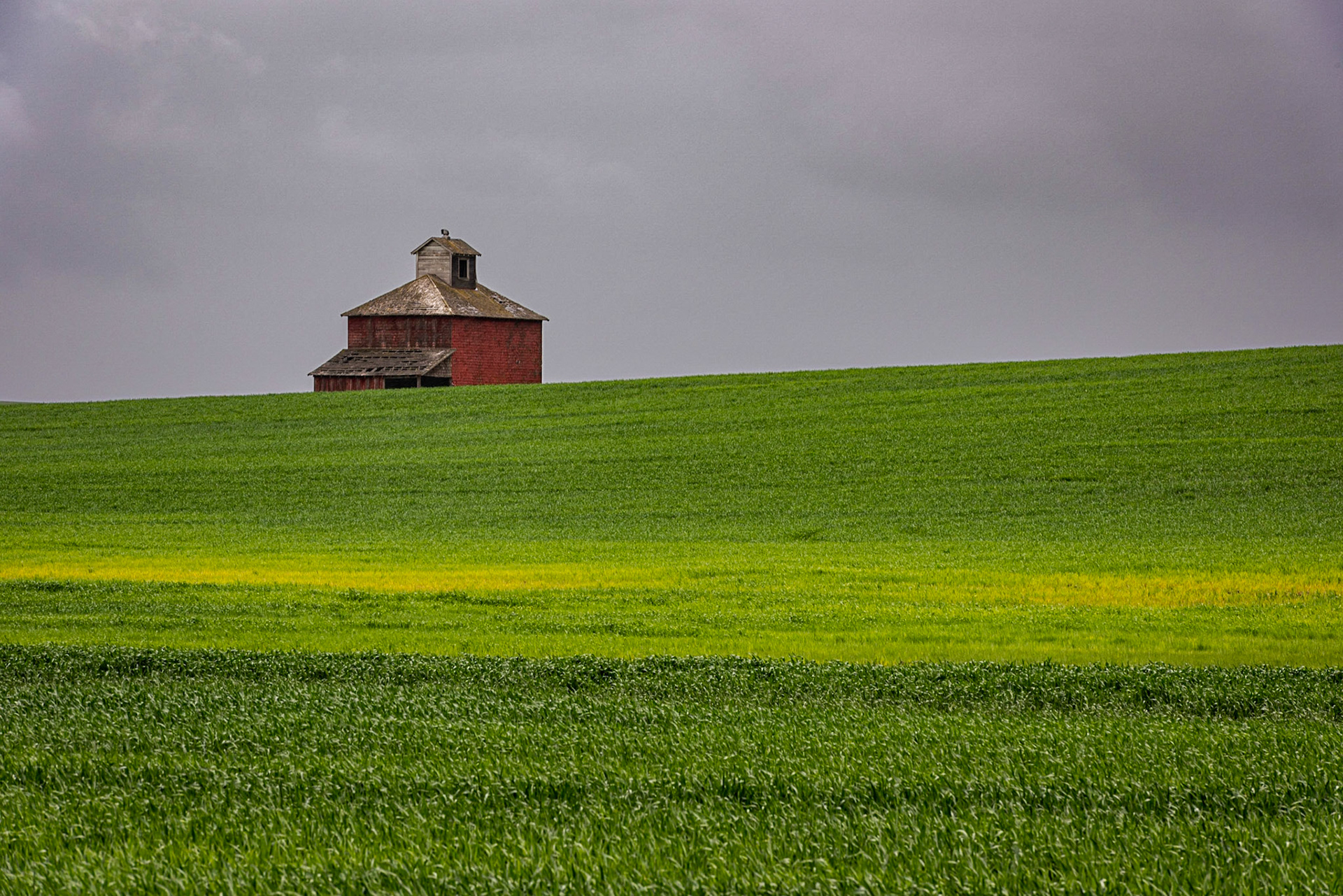 I saw this little red granary peaking over a field of wheat and new it would make a nice photo. The granary sits at Flansburg Farms, off State Highway 27, southwest of the town of Palouse.Date: 24 May 2019Location: Whitman County, Washington, United StatesOriginal resolution: 36 MPProcessing: Processed from RAW using Adobe Photoshop Lightroom Classic 8