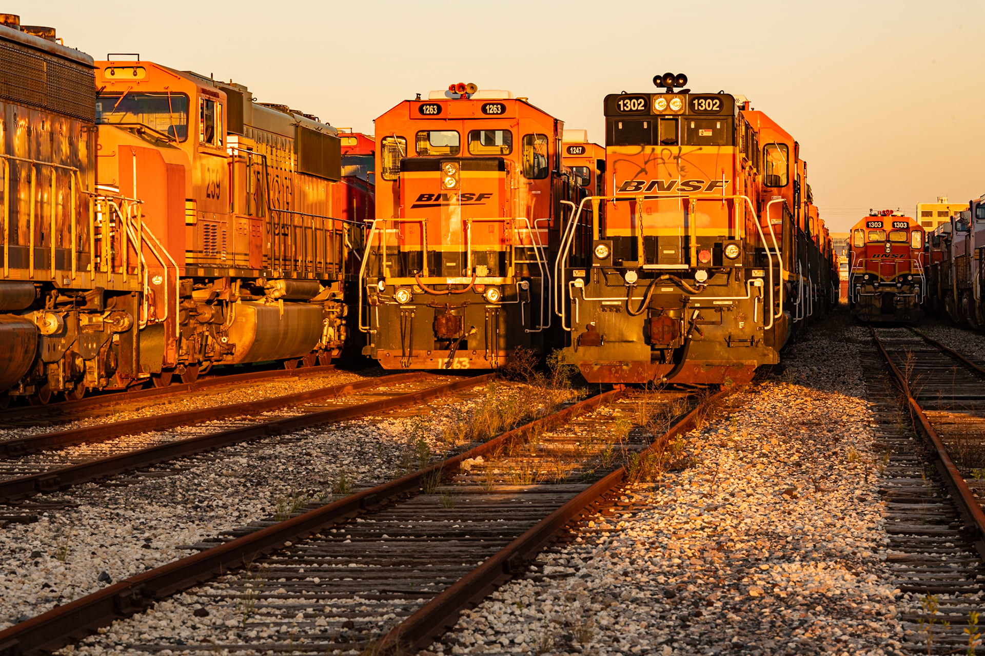 Date: 4 January 2021Location: Galveston, Texas, United StatesOriginal resolution: 45 MPProcessing: Processed from RAW using Adobe Photoshop Lightroom Classic 9