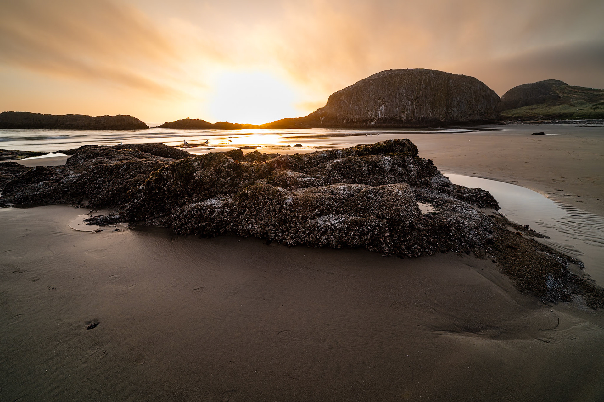 Sunset at Seal Rock | 9 July 2024 | Seal Rock, Oregon, United States | Nikon Z8 | 45 MP | Processed from RAW in Adobe Photoshop Lightroom Classic 13