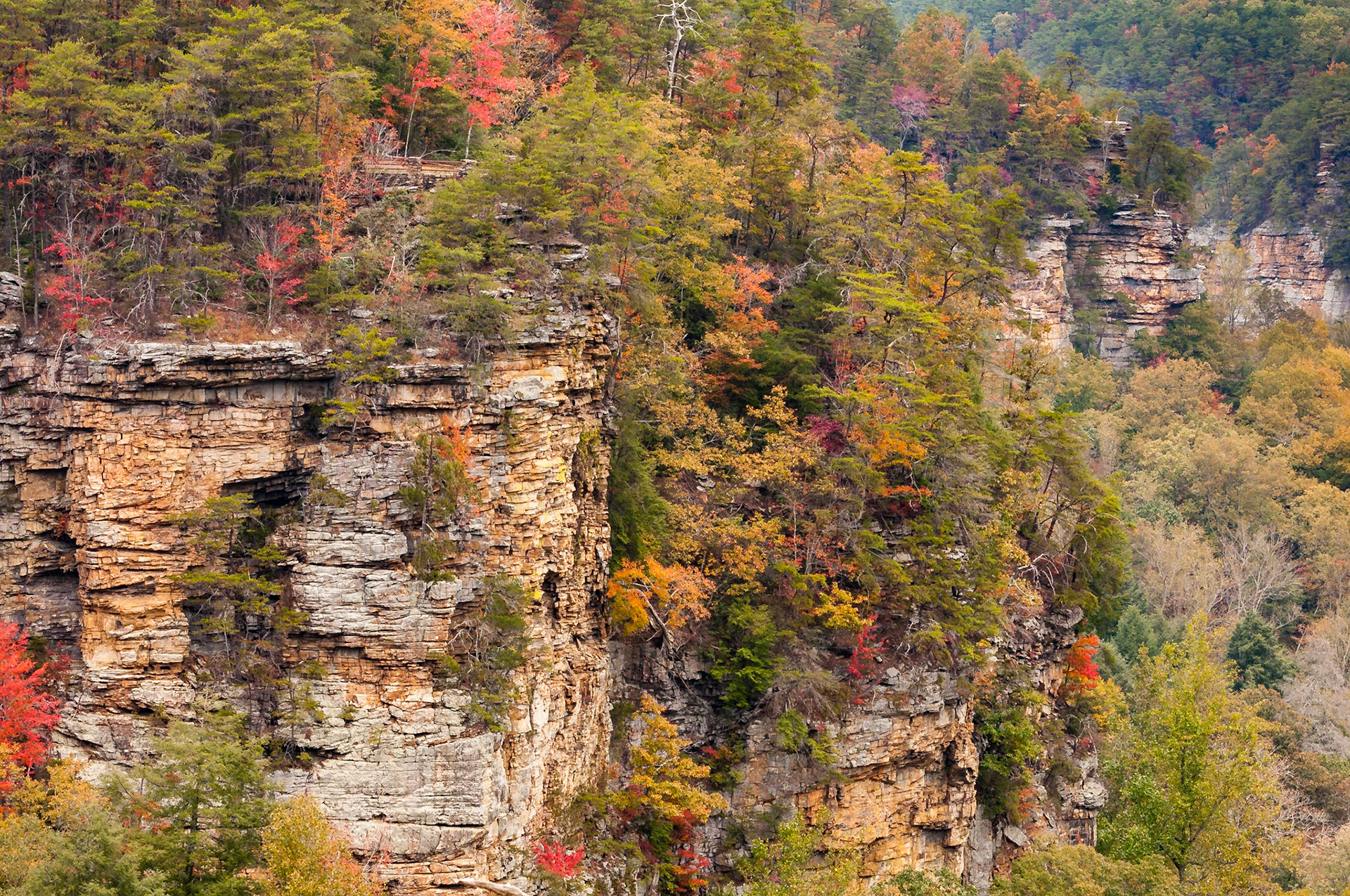 Date: 27 October 2013Location: Fall Creek Falls State Park, Tennessee, United StatesOriginal resolution: 12 MPProcessing: Processed from RAW using Adobe Photoshop Lightroom 6