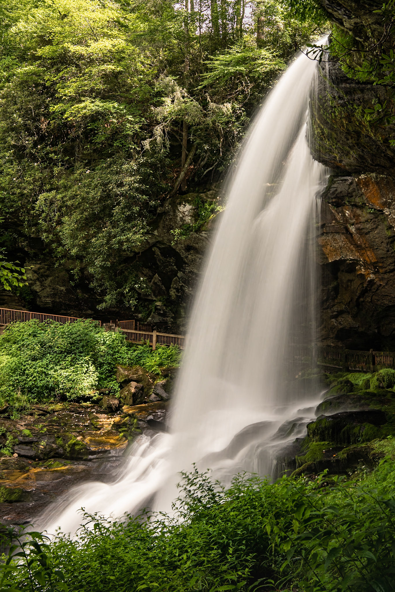 I photographed Dry Falls a little more than nineteen years before this photo, though in the morning. The dynamic range of this digital photo is dramatically better than that of the Fujichrome Velvia photo, but I do wish I had gotten to the falls earlier to get the morning light on the falls. Of course, the trees around the falls have grown in those nineteen years, and it's possible that the sunlight is diminished, even in the morning.Date: 16 July 2021Location: Highlands, North Carolina, United StatesOriginal resolution: 45 MPProcessing: Processed from RAW using Adobe Photoshop Lightroom Classic 10
