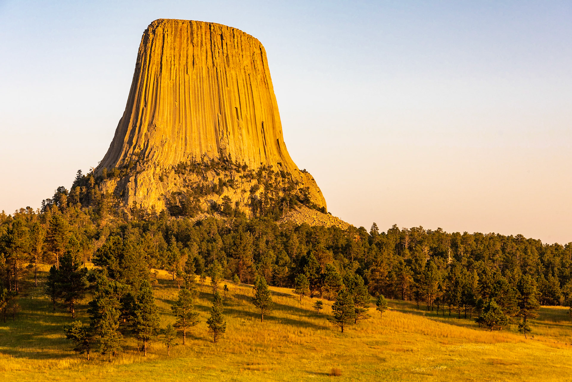 Date: 8 August 2018Location: Devil's Tower National Monument, Wyoming, United StatesOriginal resolution: 36 MPProcessing: Processed from RAW using Adobe Photoshop Lightroom 6