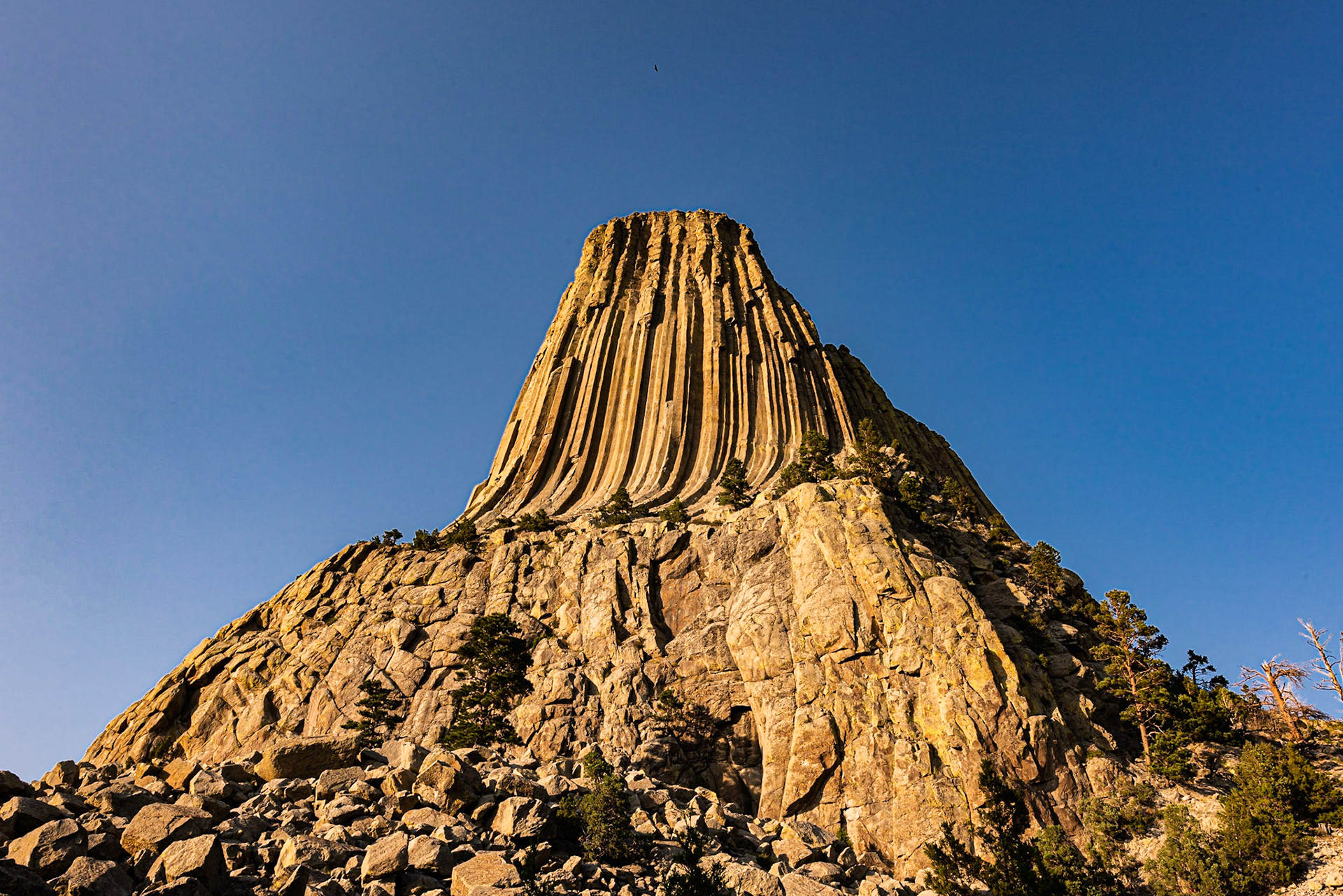 We were walking the Tower Trail around the base of Devil's Tower when we came to this view, which was relatively free of trees. Note the condor soaring on the wind currents near the top.Date: 8 August 2018Location: Devil's Tower National MonumentOriginal resolution: 36 MPProcessing: Processed from RAW using Adobe Photoshop Lightroom Clasic CC 7