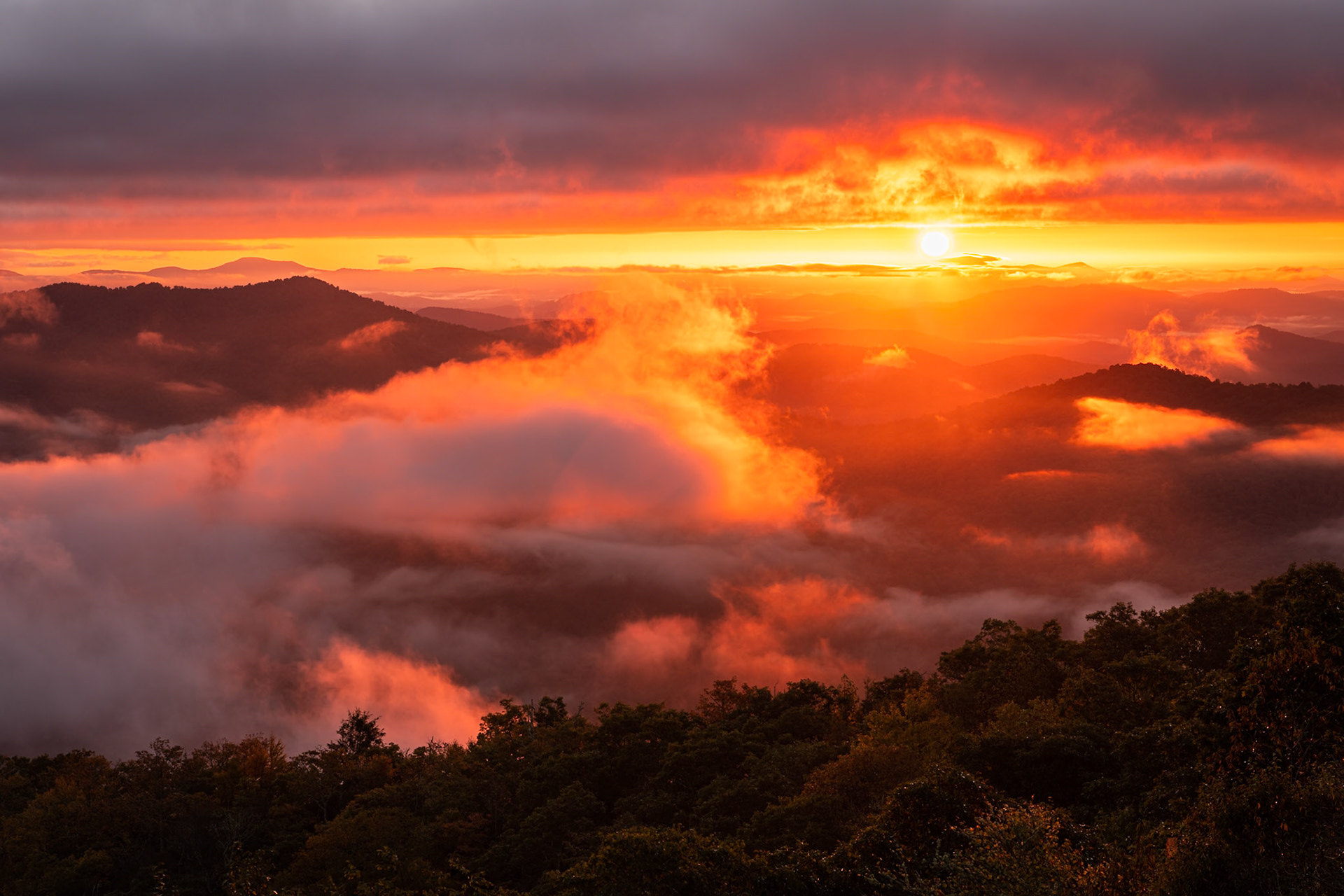 Sunrise in autumn in North Carolina is actually a reasonable hour at around 7:00 a.m. (still on Daylight Savings Time). I was hoping for fog in the forest and was initially disappointed when I left the hotel that the clouds were low but not low enough. Nevertheless, when we reached the Blue Ridge Parkway, I could see we were in for a different kind of sunrise. The low clouds sandwiched the sun above the mountains. A few scattered cloud banks added atmosphere in the foreground. Date: 11 October 2021Location: Pounding Mill Overlook, North Carolina, United StatesOriginal resolution: 45 MPProcessing: Processed from RAW using Adobe Photoshop Lightroom Classic 10