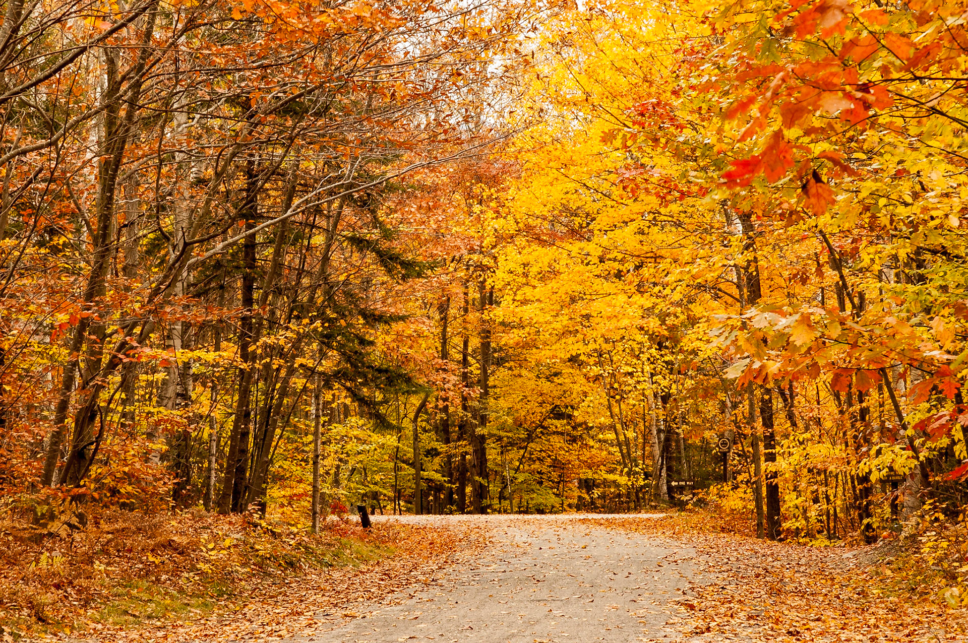 This is Hancock Campground in the White Mountain National Forest, just west of Lincoln Ranger Station and south of the Kancamagus Highway. When we pulled in, it was pretty well deserted. | 11 October 2006 | Grafton County, New Hampshire, United States | Nikon D70 | 6 MPProcessing: Processed from RAW using Adobe Photoshop Lightroom 6