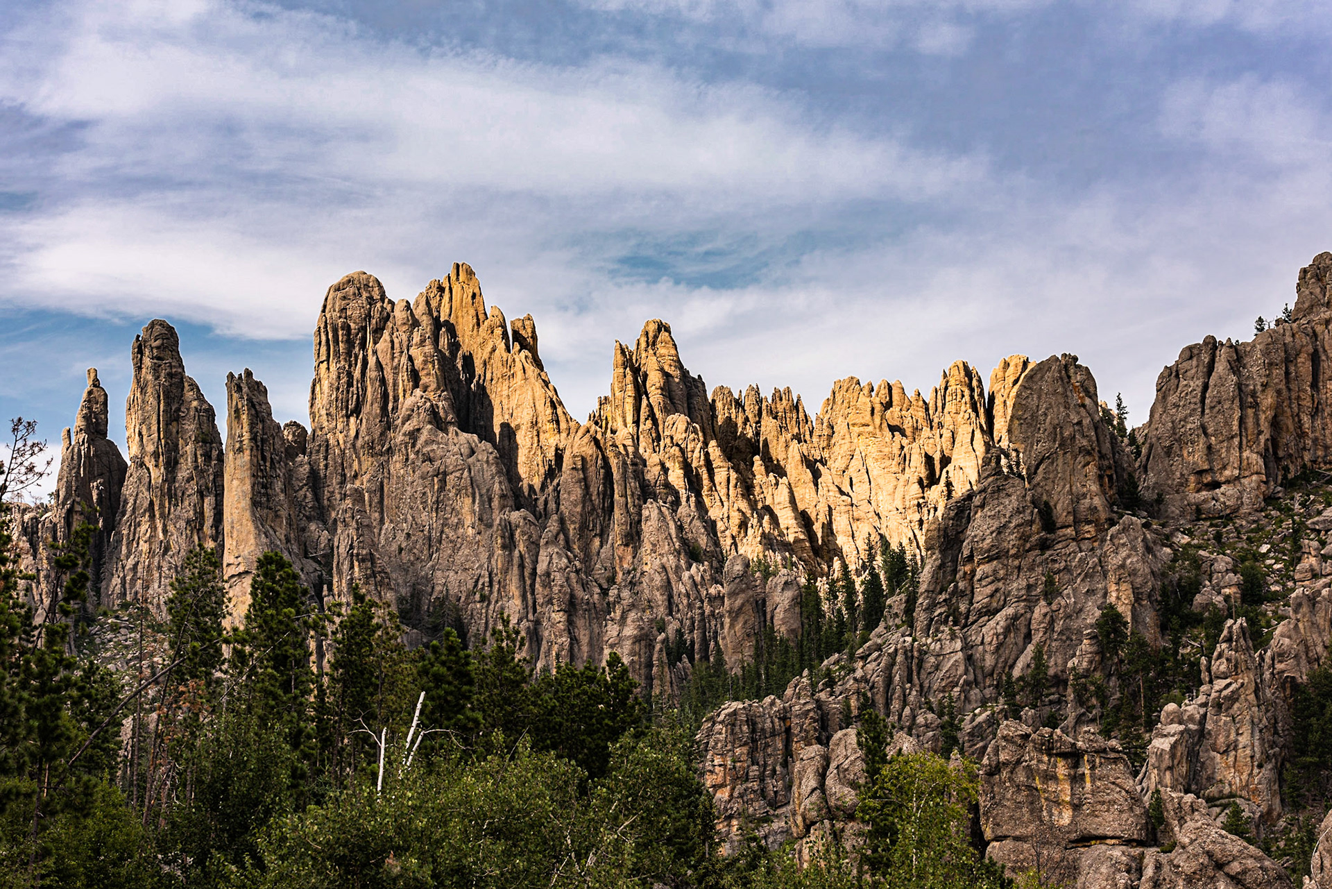 Date: 7 August 2018Location: Custer State Park, South Dakota, United StatesOriginal resolution: 36 MPProcessing: Processed from RAW using Adobe Photoshop Lightroom 6