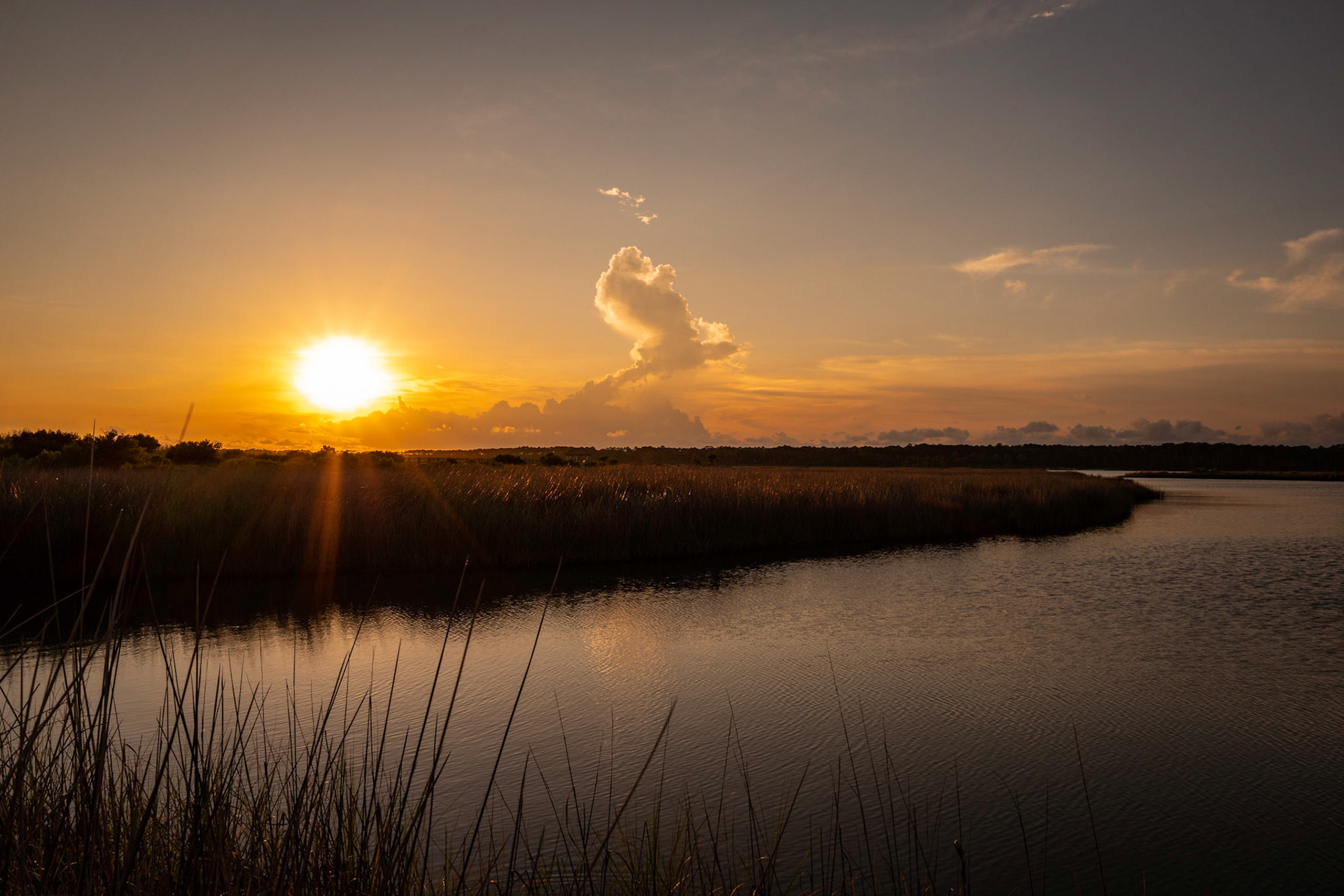 We were staying across the street from the Little Lagoon in Gulf Shores, and I decided to walk over and photograph this backwater area at sunset. It turned out to be the only good sunset of the week.Date: 21 June 2020Location: Gulf Shores, Alabama, United StatesOriginal resolution: 24 MPProcessing: Processed from RAW using Adobe Photoshop Lightroom Classic 9