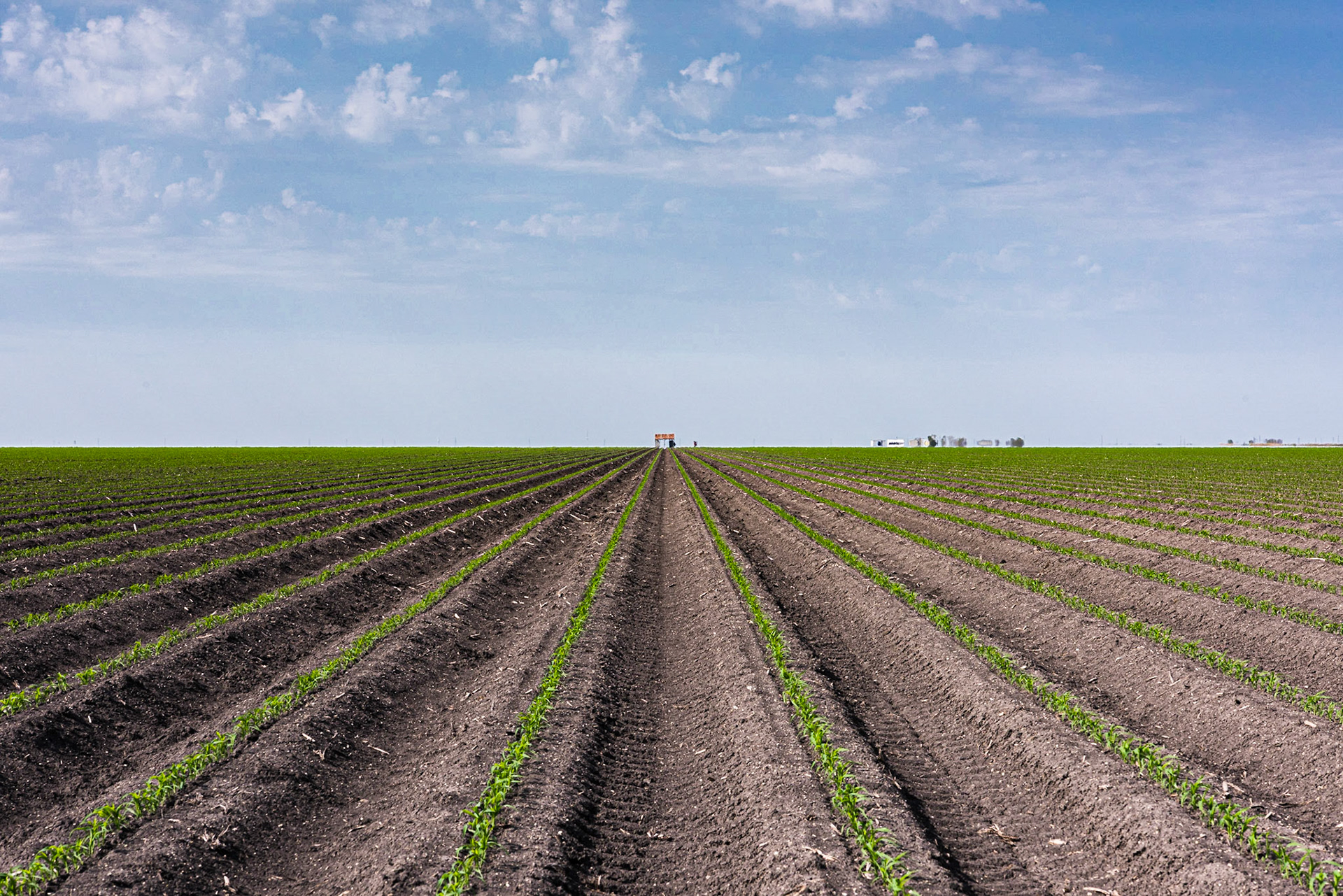 I was driving from Austwell to Rockport when I came across this recently planted field where the crops (probably sorghum) had already sprouted. I tried to find the spot where the thin green lines converged on the old barn, about a kilometer across the field.Date: 19 March 2018Location: Refugio County, Texas, United StatesOriginal resolution: 36 MPProcessing: Processed from RAW using Adobe Photoshop Lightroom 6