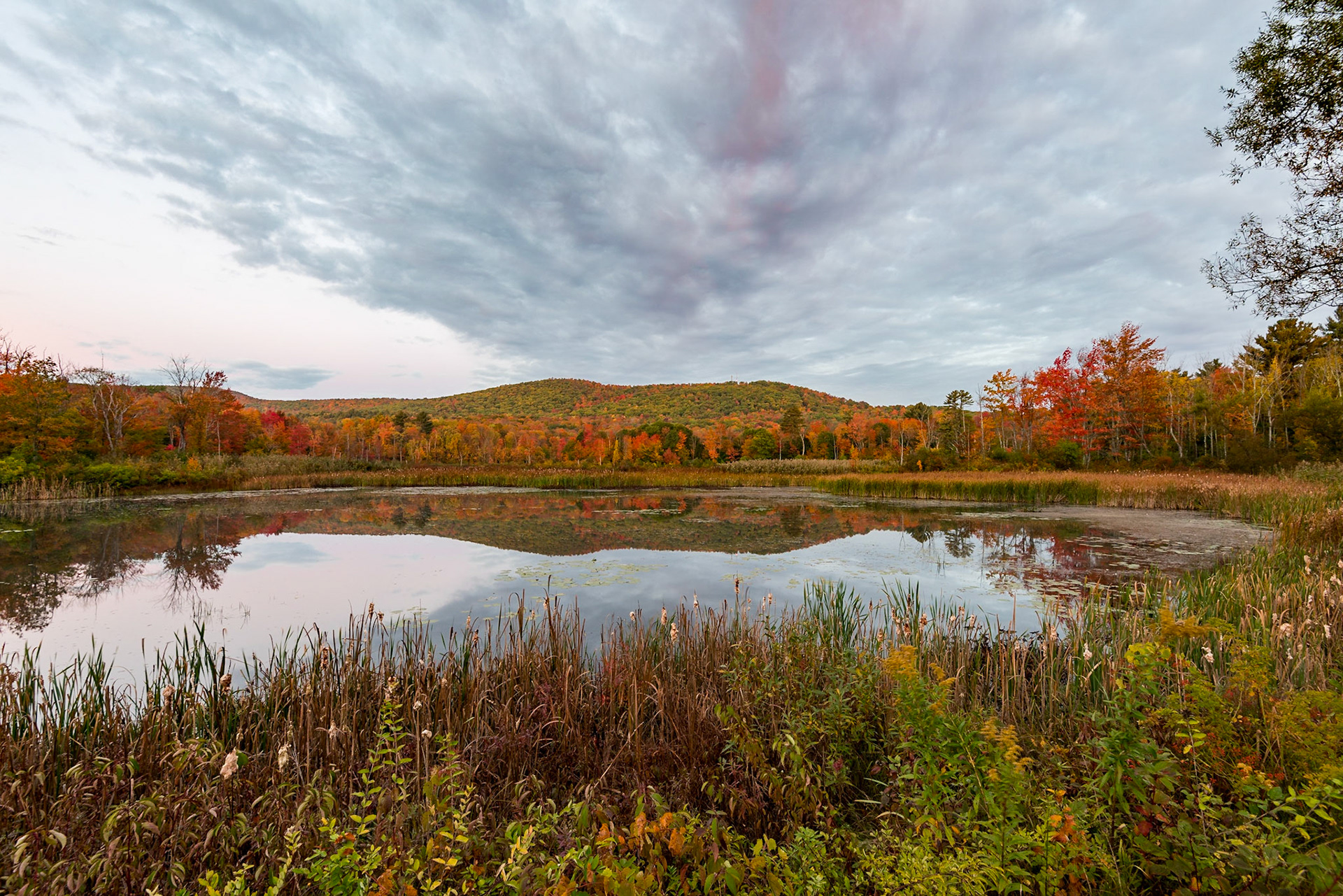 I got up early to shoot a number of dawn photos of this wetland, which is fed by Yokun Brook. I liked this one, on the first I shot, because of the salmon light on the cirrostratus clouds, which soon moved away. Mahanna Cobble and Osceda Mountain are in the background.Date: 12 October 2016Location: Lenox, Massachusetts, United StatesOriginal resolution: 36 MPProcessing: Processed from RAW using Adobe Photoshop Lightroom CC 2015