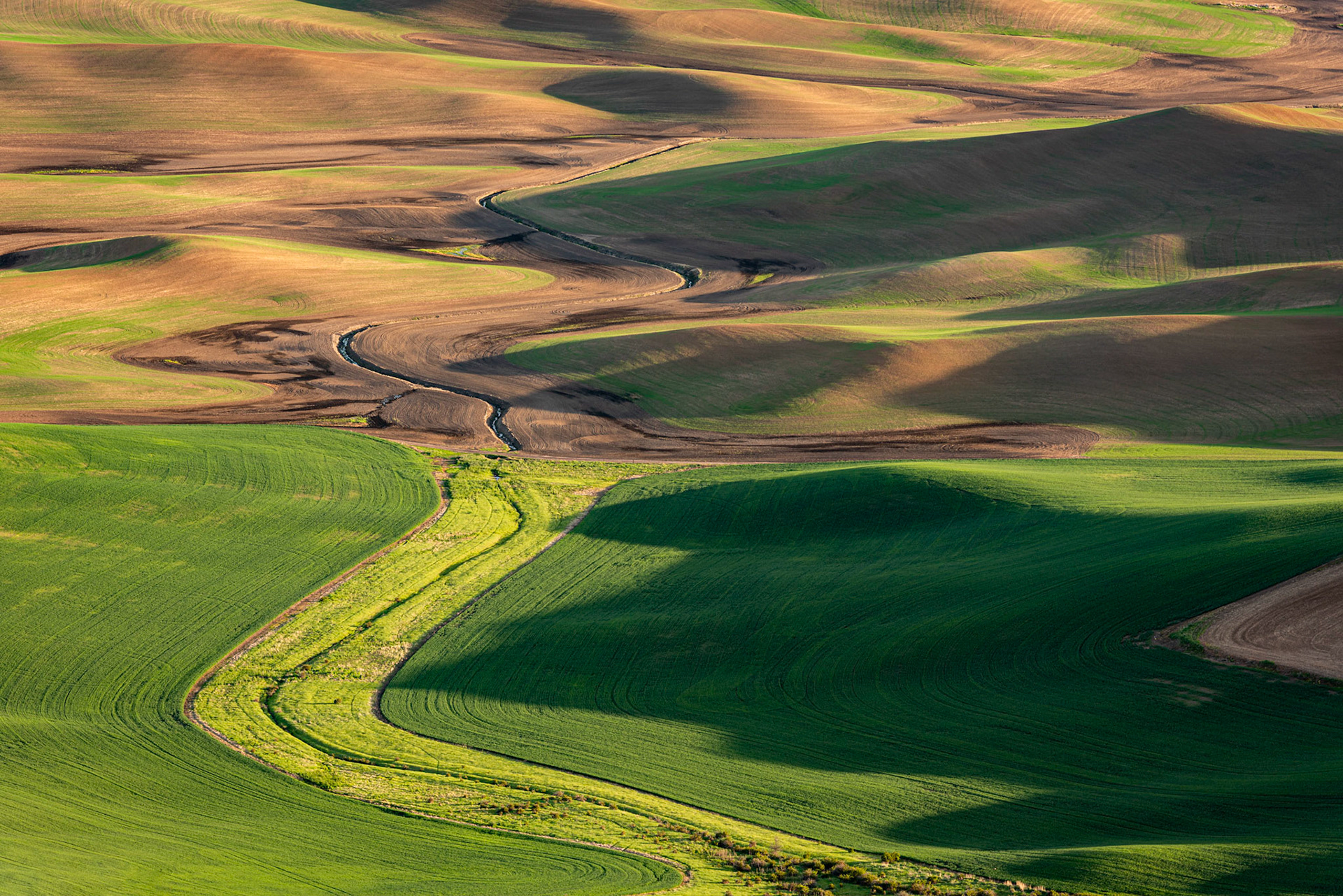 The winding stream running through the Palouse farmland gives the undulating hills the look of a three-dimensional jigsaw puzzle.Date: 22 May 2019Location: Steptoe Butte State Park, Washington, United StatesOriginal resolution: 36 MPProcessing: Processed from RAW using Adobe Photoshop Lightroom Classic 9