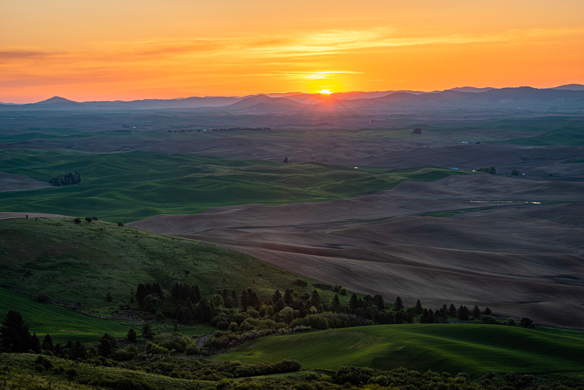 I got up at 3:45 a.m. for this shot from Steptoe Butte, just after 5:00 a.m. The early morning wind was blowing hard, and I struggled to keep the camera steady. As you can see, I did manage to take a photo that I liked.Date: 23 May 2019Location: Steptoe Butte State Park, Washington, United StatesOriginal resolution: 36 MPProcessing: Processed in high dynamic range from RAW using Adobe Photoshop Lightroom Classic 8