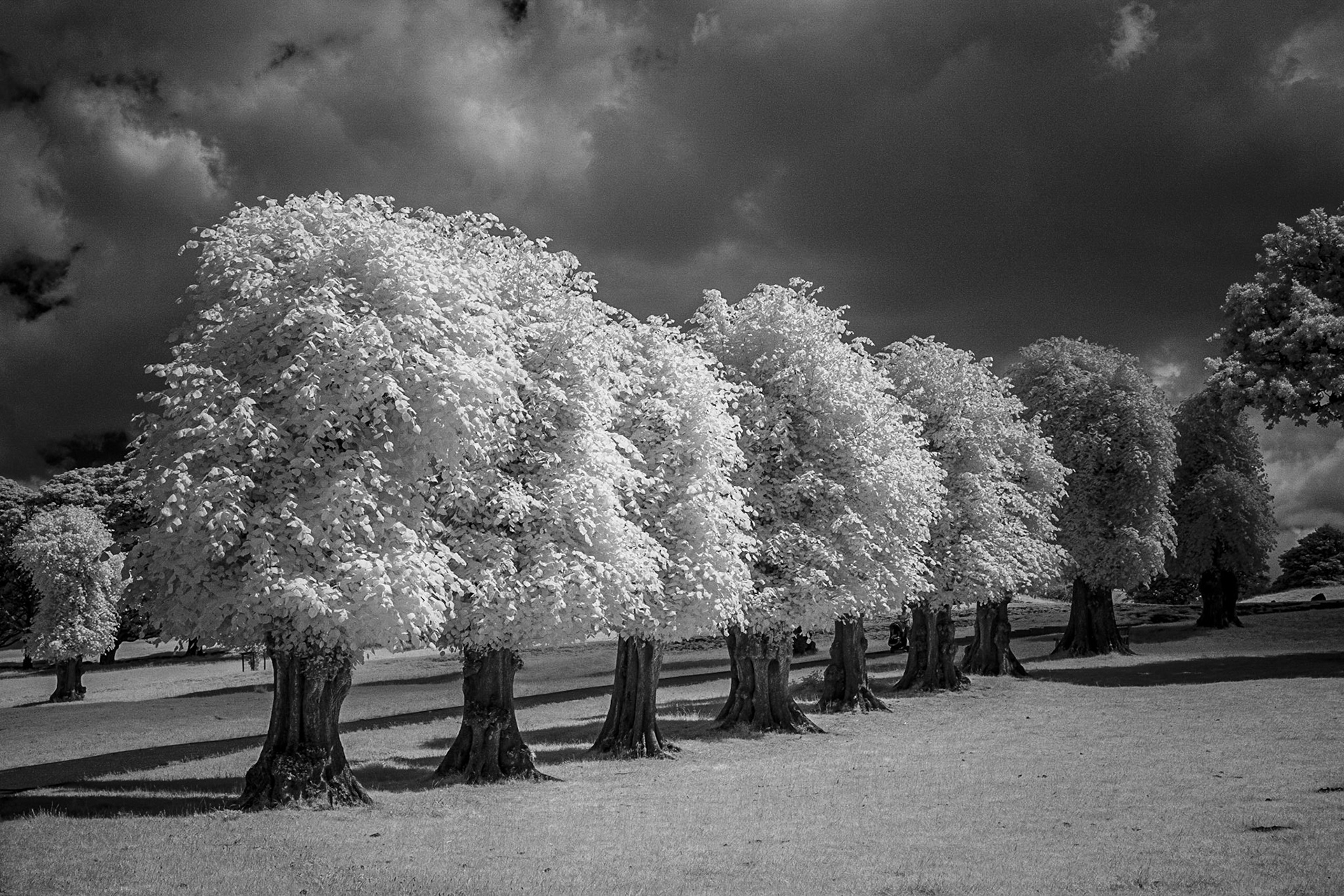 Lyme Park