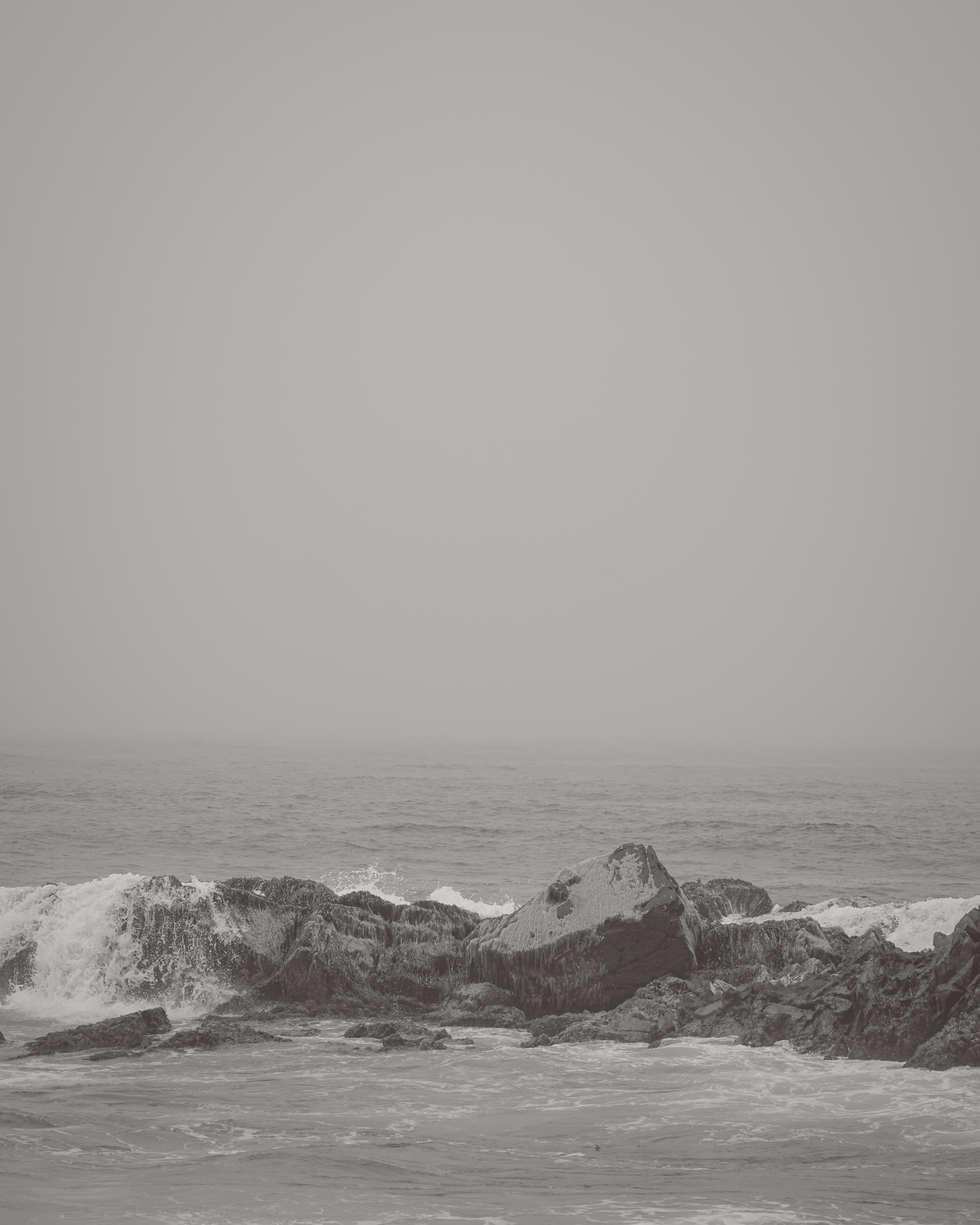 Waves breaking over the seaweed-covered rocks