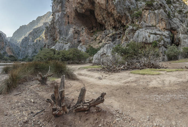 DRY RIVER - 27 backplates & 2 HDRI
