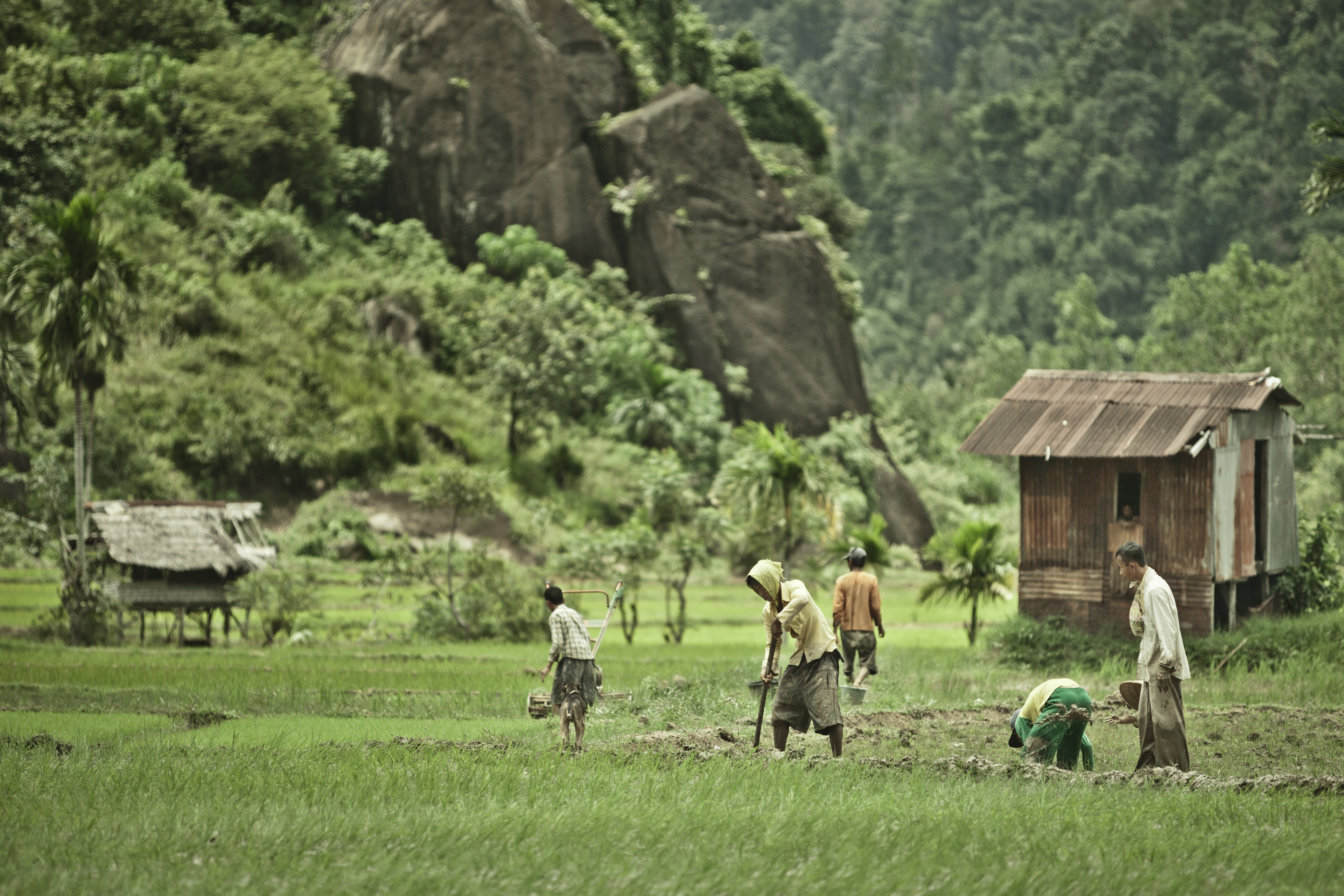 INDONESIA – Nagari Sungai Pinang