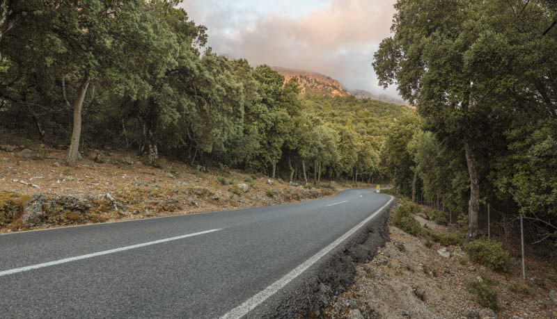 CARRETERA BOSQUE - 22 backplates & 1 HDRI