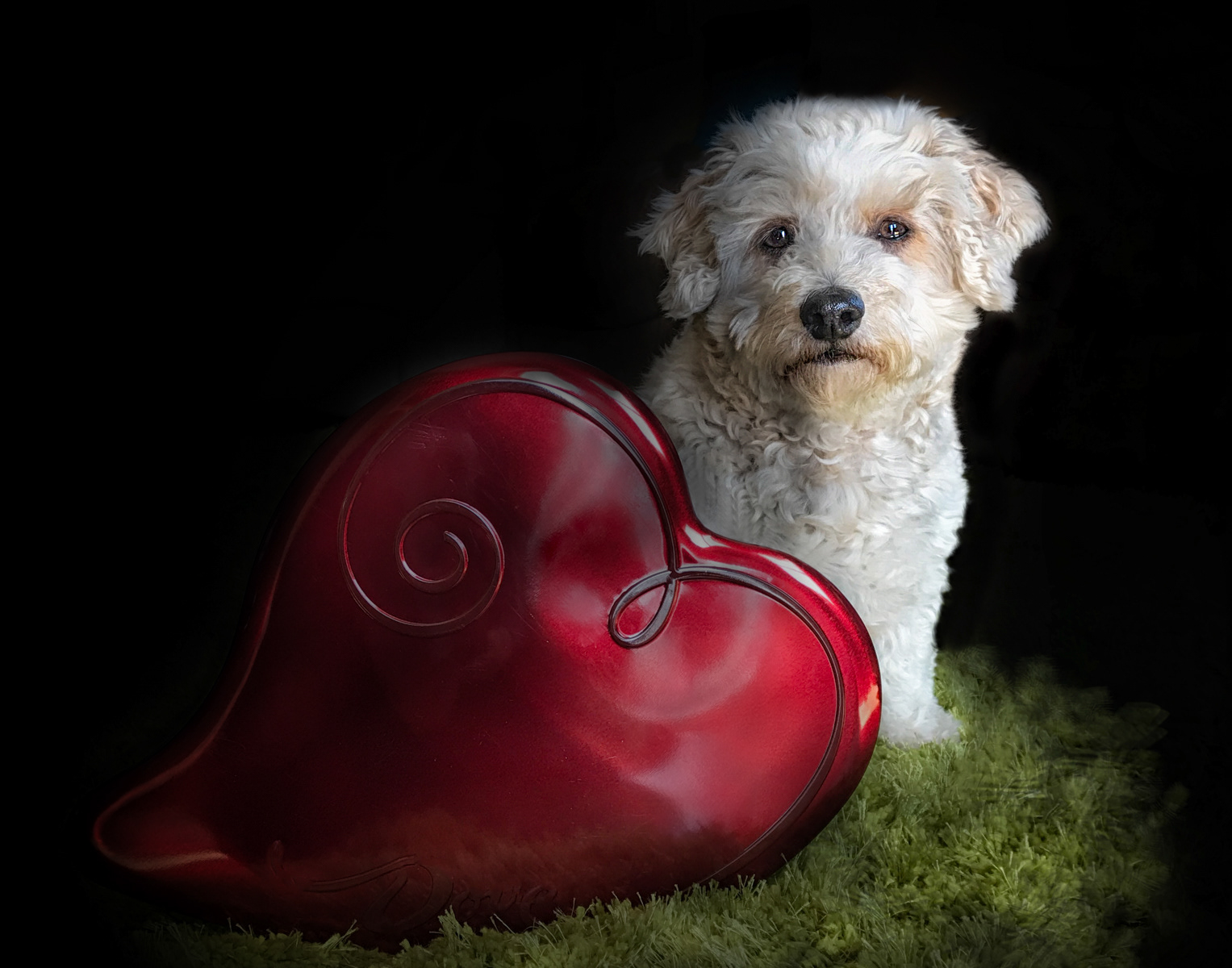 Meekas' Valentine
