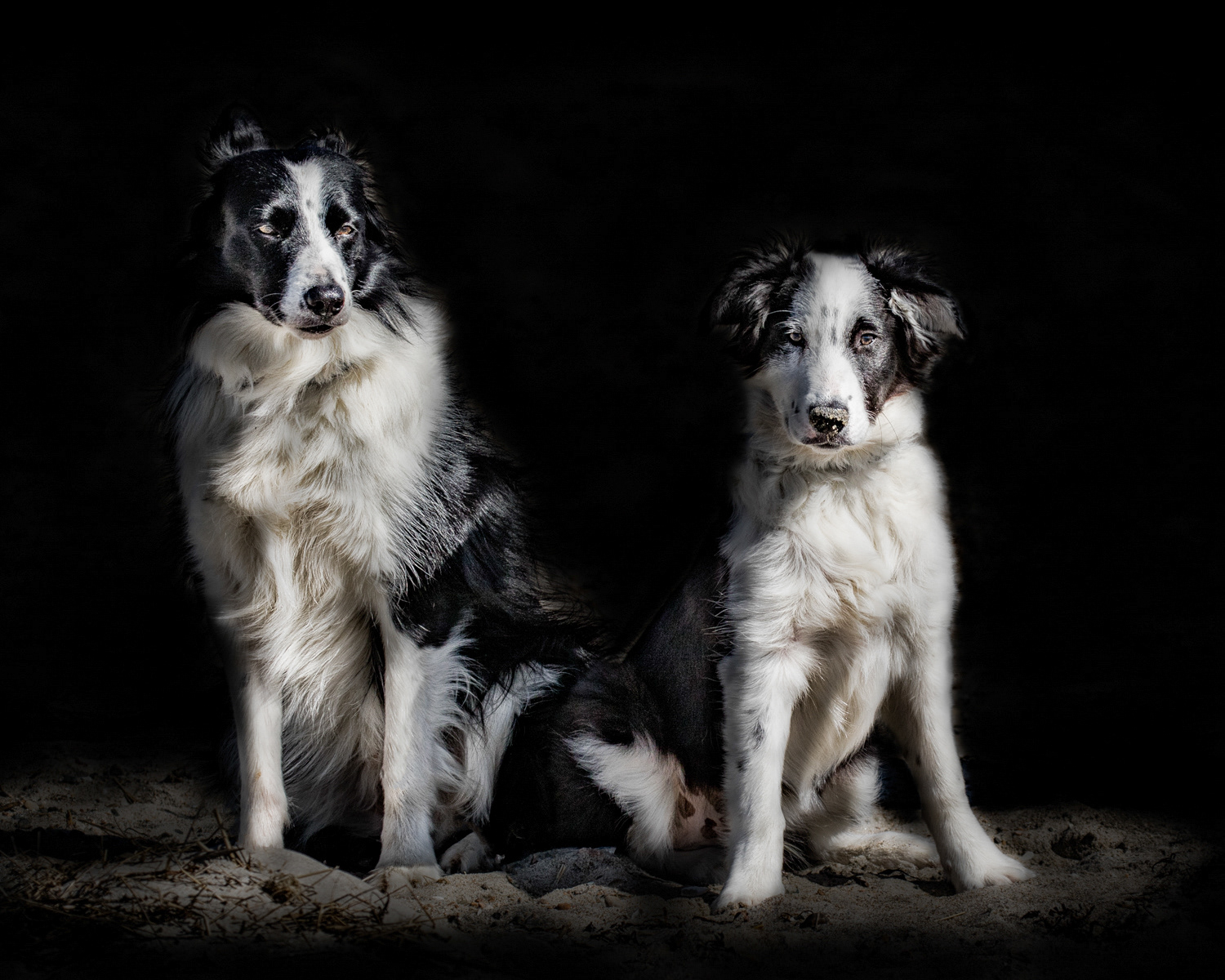 Father and Son