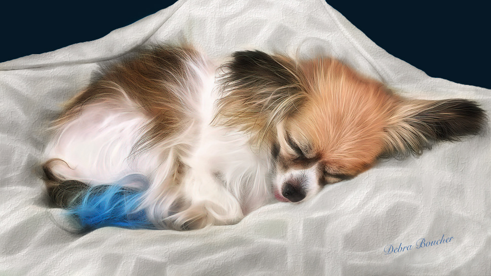 Nap Time